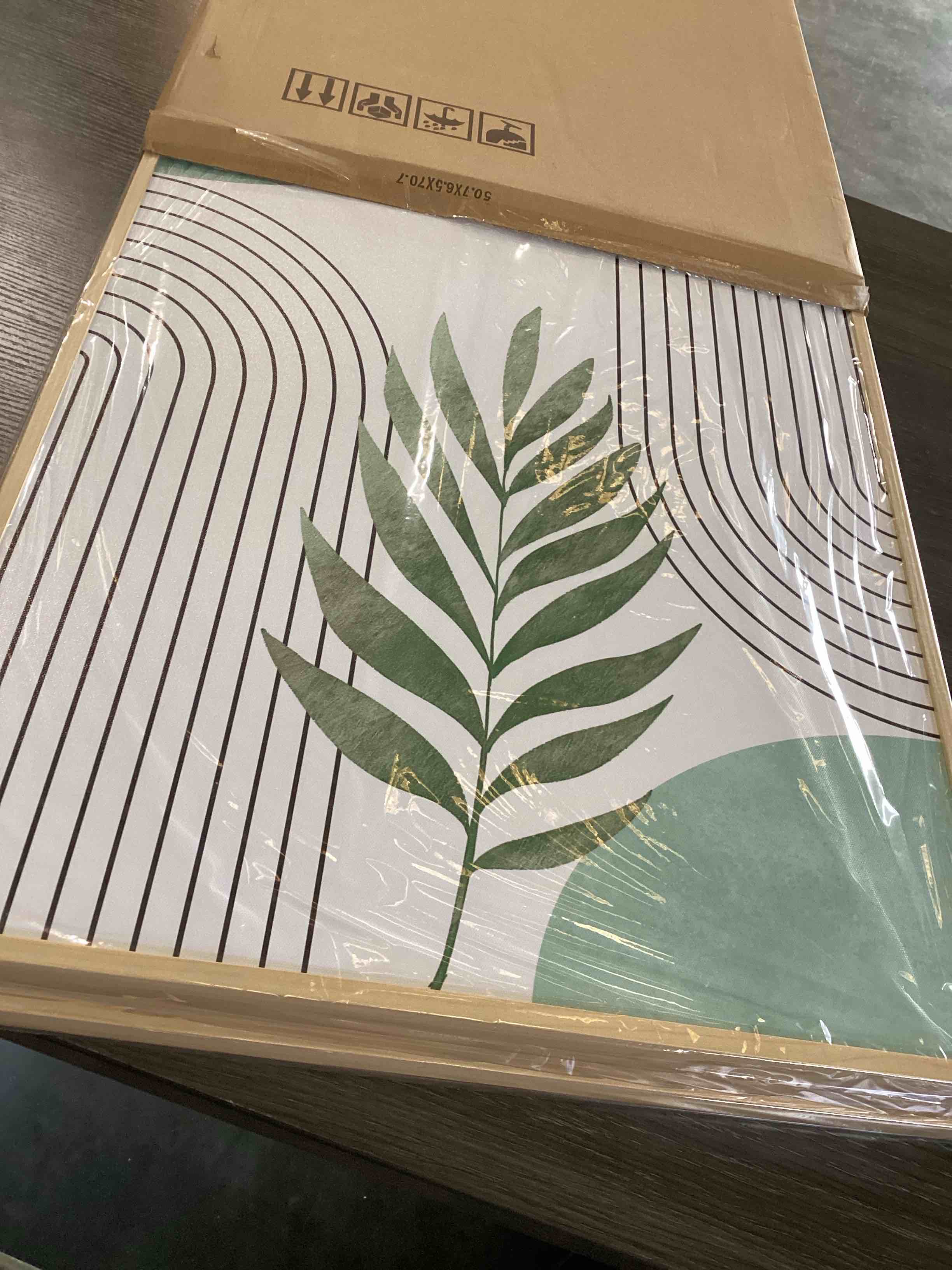 Condition photo showing Good Condition for SERIMINO Sage Green Wall Art Framed, Botanical Boho Wall Decor for Living Room, Set of 3 Plant Painting Prints Farmhouse Decor for Bedroom, Bathroom, Office, 20 x28 inch 28L" x 20W" Aqua Blue & Sage