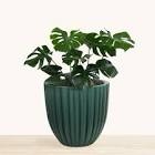 Atene ECOBO EcoFreindly Round Pot Planter, Onda IndoorOutdoor use, Four season Use Size: 18.1" H x 12.6" W x 12.6" D, Color: Green