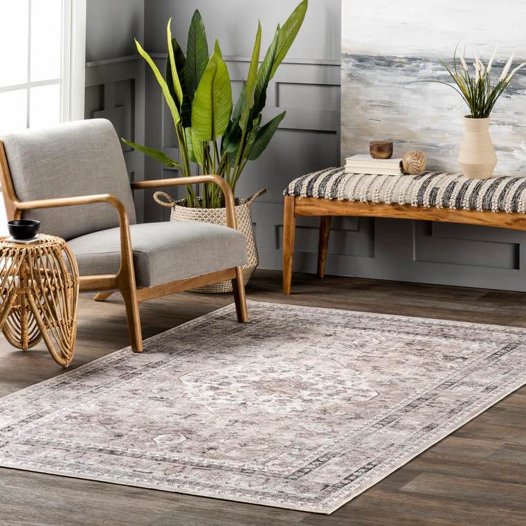 Davi Faded Stain-Resistant Machine Washable Area Rug 