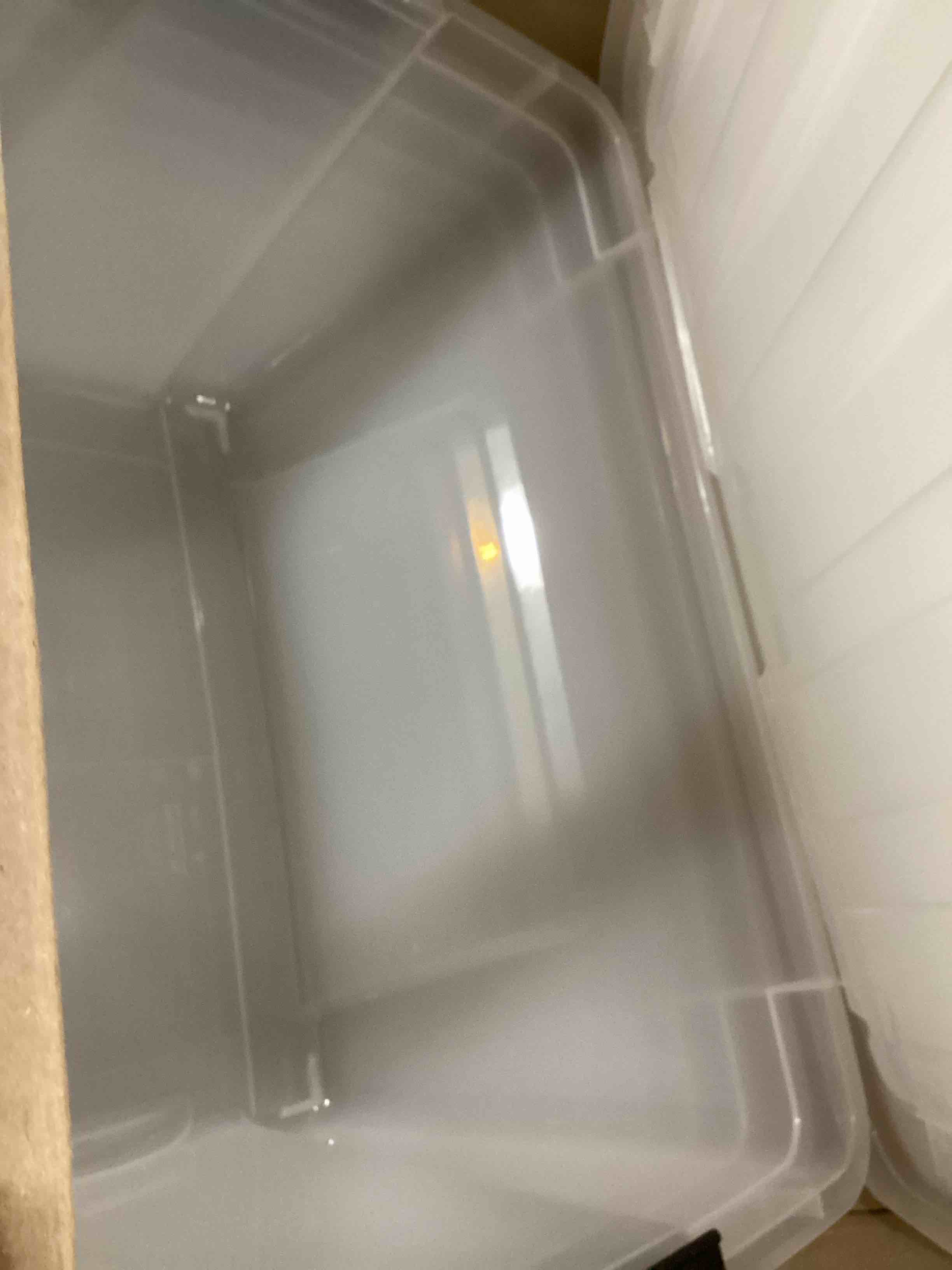https://s3.amazonaws.com/lotting-images-prod/bidfta/TEA2410670_1745603220852.jpeg
