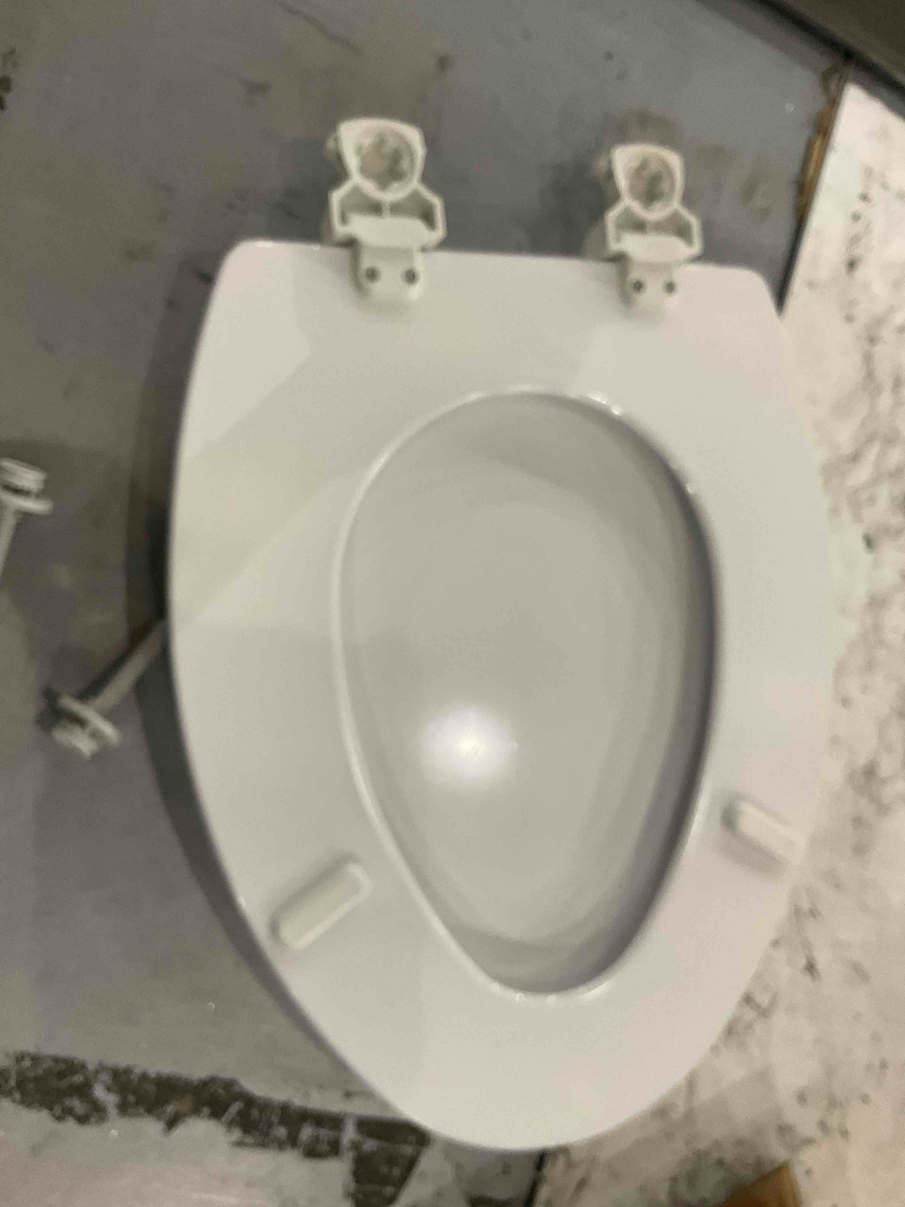 https://s3.amazonaws.com/lotting-images-prod/bidfta/TEA2477705_1743770275850.jpeg
