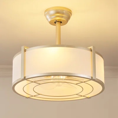 19” Modern Ceiling fan with lights 