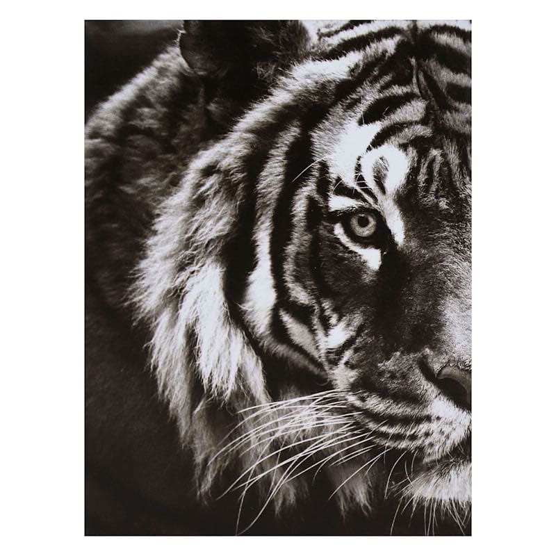 Tiger Block, 6x8
