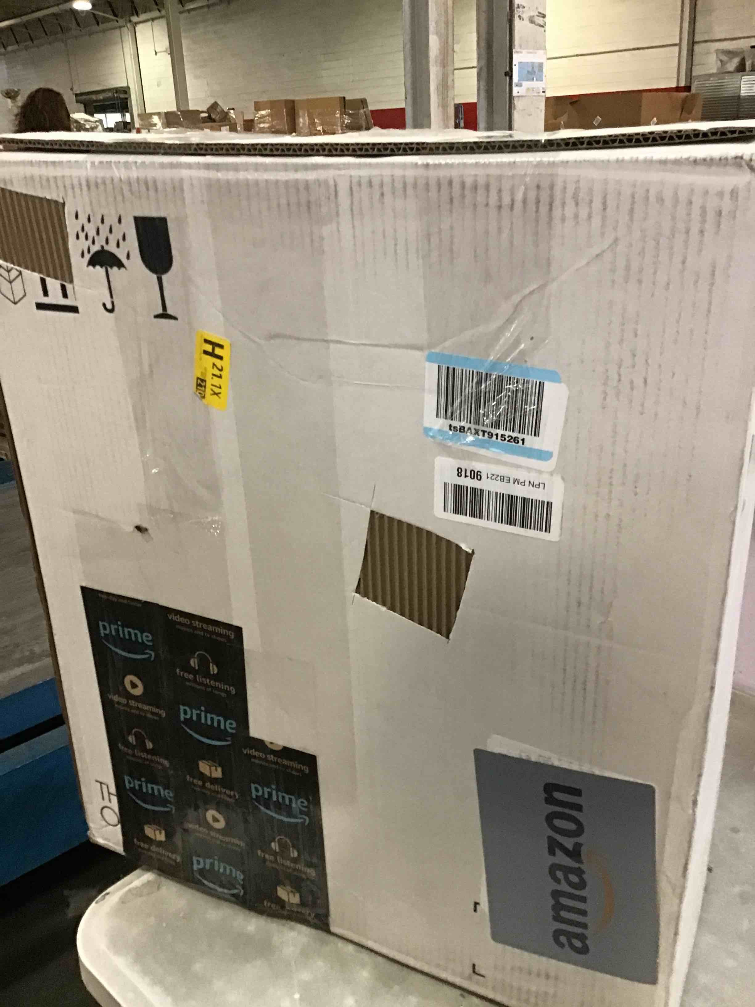 https://s3.amazonaws.com/lotting-images-prod/bidfta/TEA3221224_1750257207264.jpeg