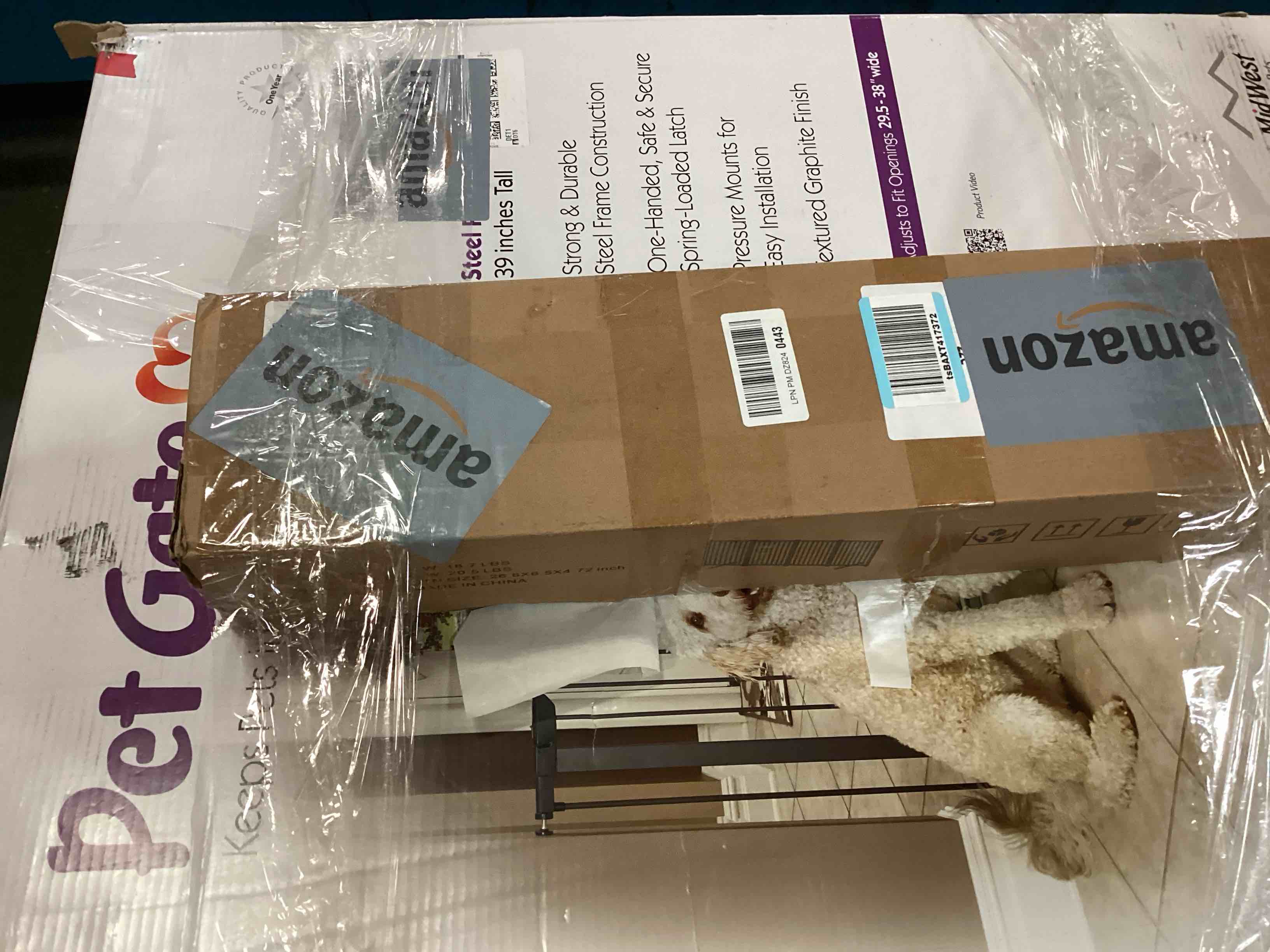 https://s3.amazonaws.com/lotting-images-prod/bidfta/TEA3222013_1750701859182.jpeg