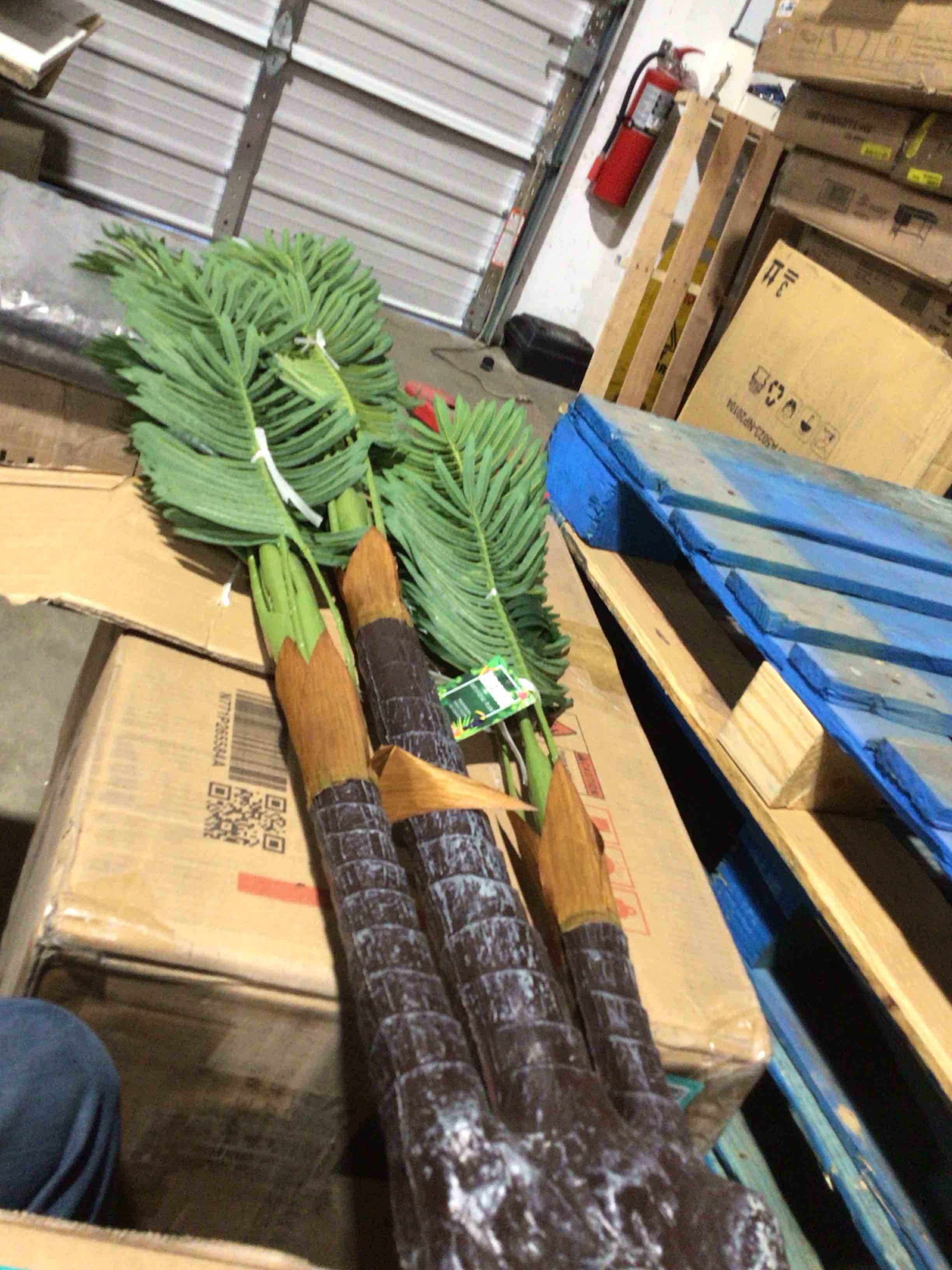 Condition photo showing Good Condition for Amerique Artificial 6 foot palm tree