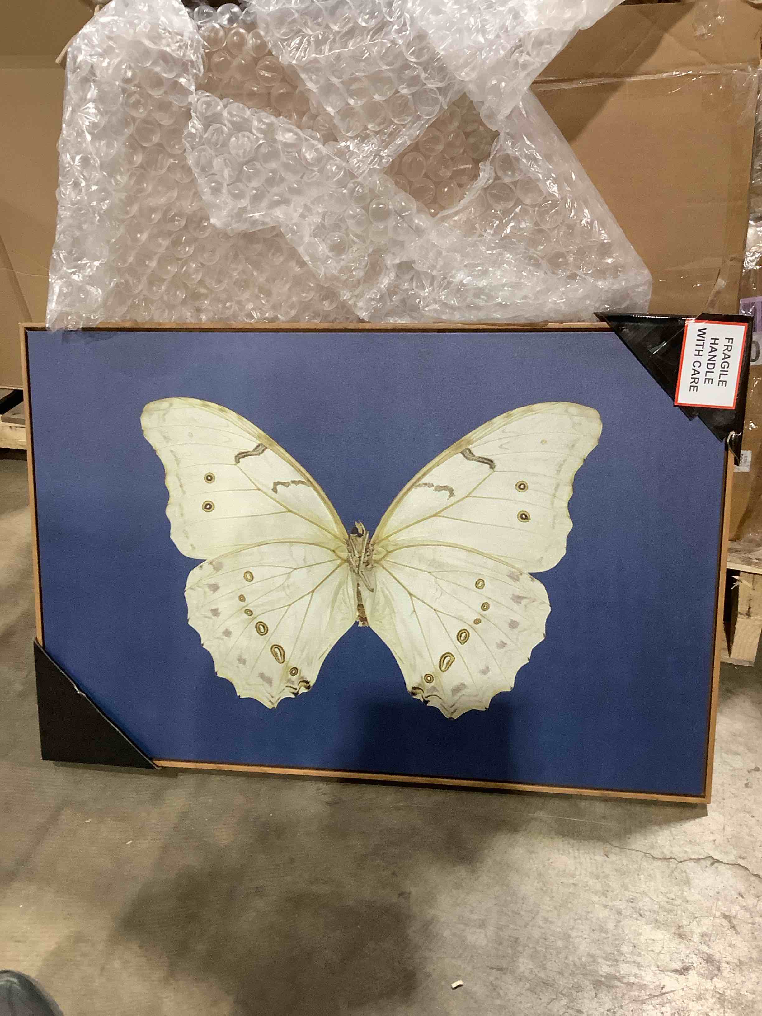 Condition photo showing New/Like New for FRAMED CANVAS WALL ART PRINT VINTAGE BUTTERFLY ARTWORK LIVING ROOM