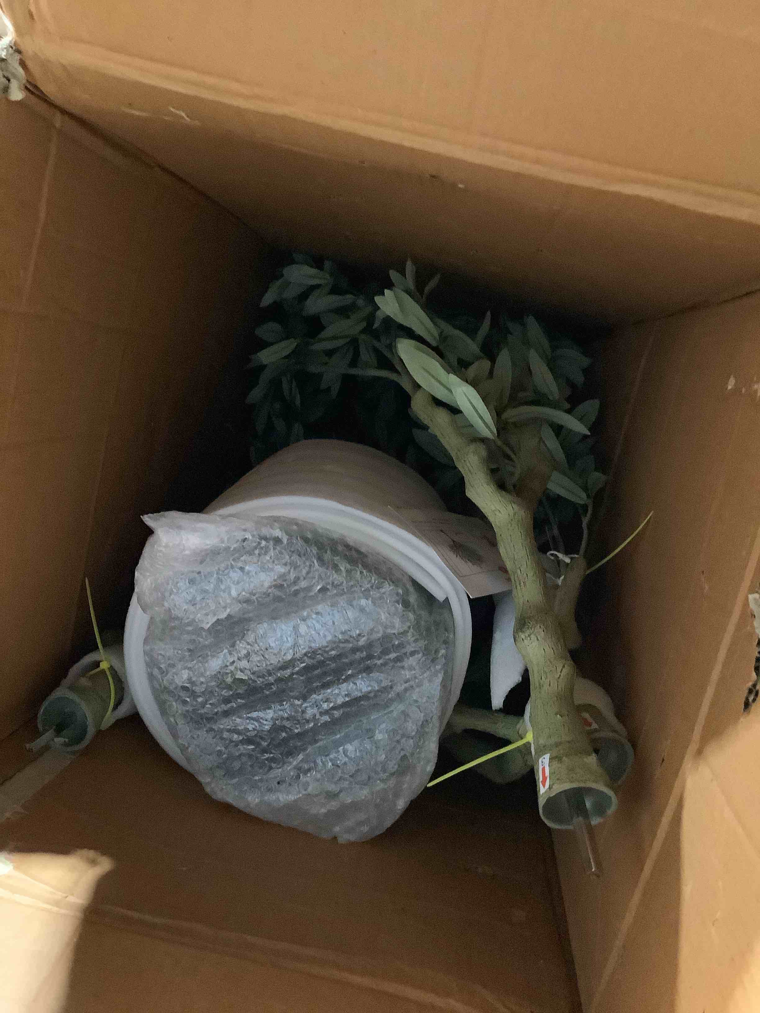 Condition photo showing Good Condition for Alcock 7' Faux Olive Tree in Pot