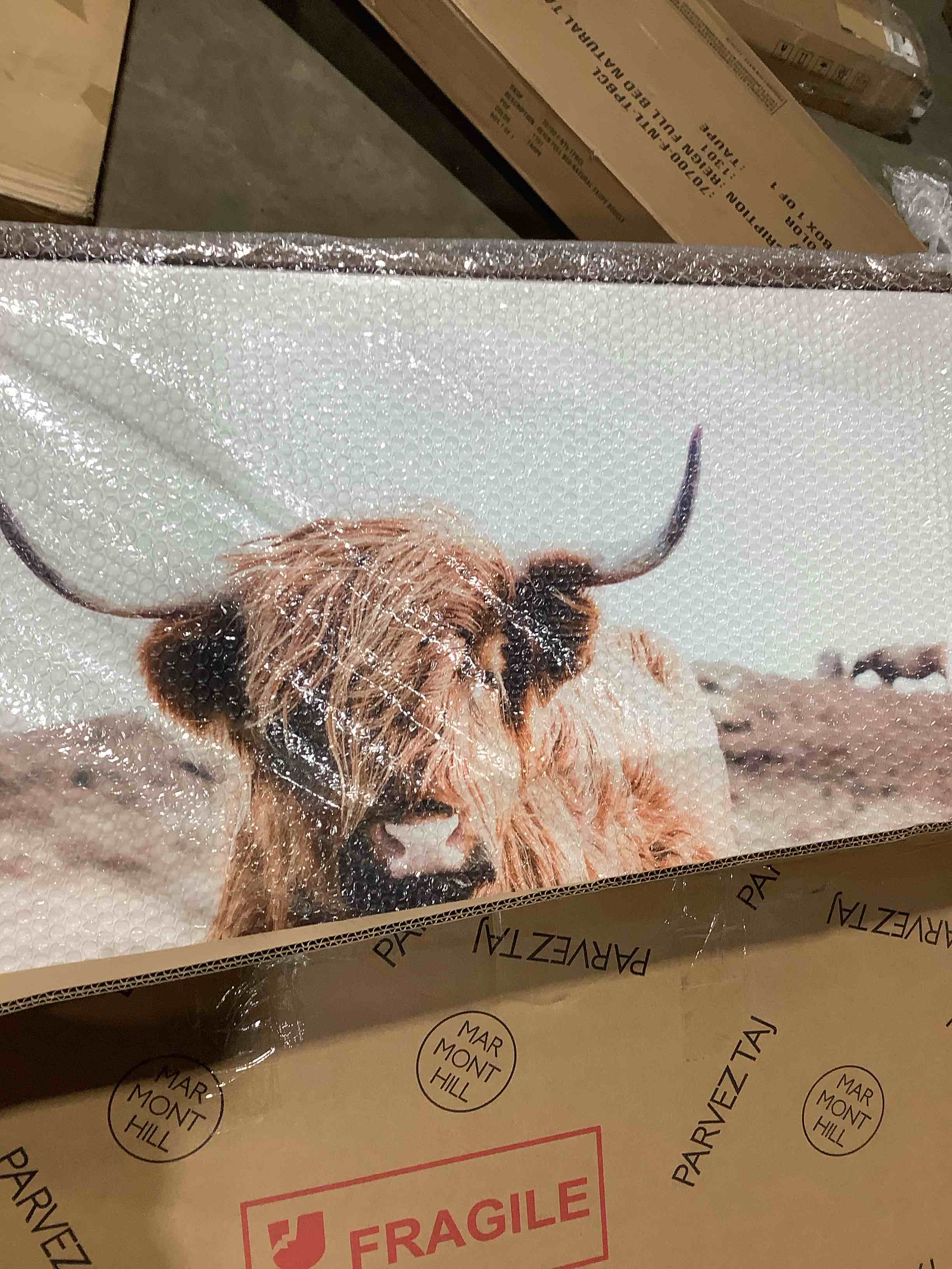 Condition photo showing New/Like New for Free roaming by Marmont Hill floater frame print