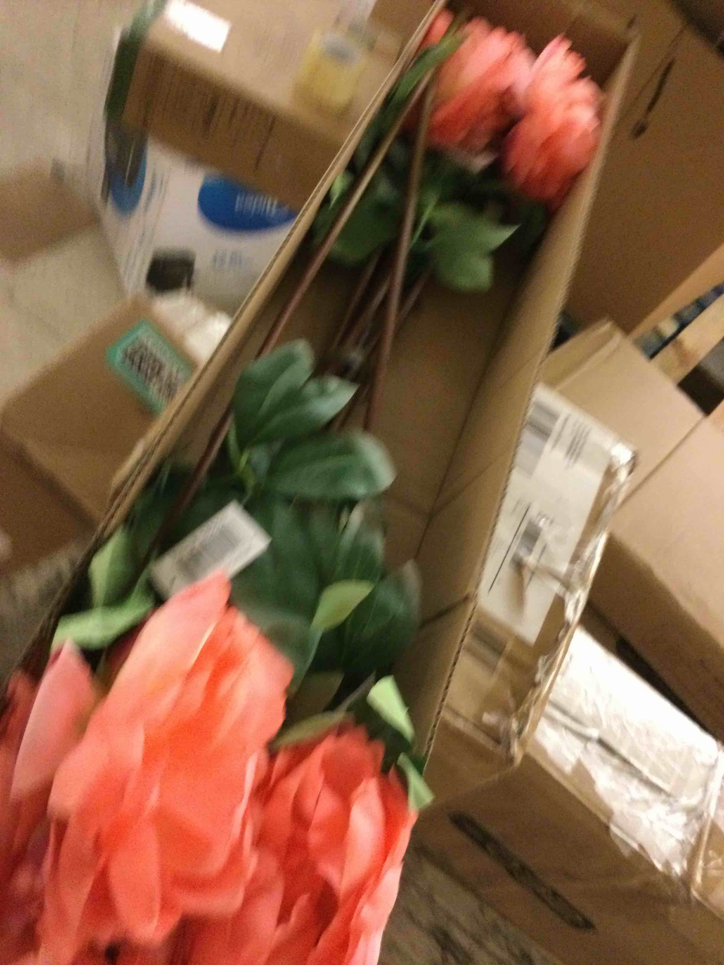 https://s3.amazonaws.com/lotting-images-prod/bidfta/TEA3240831_1759943173442.jpeg
