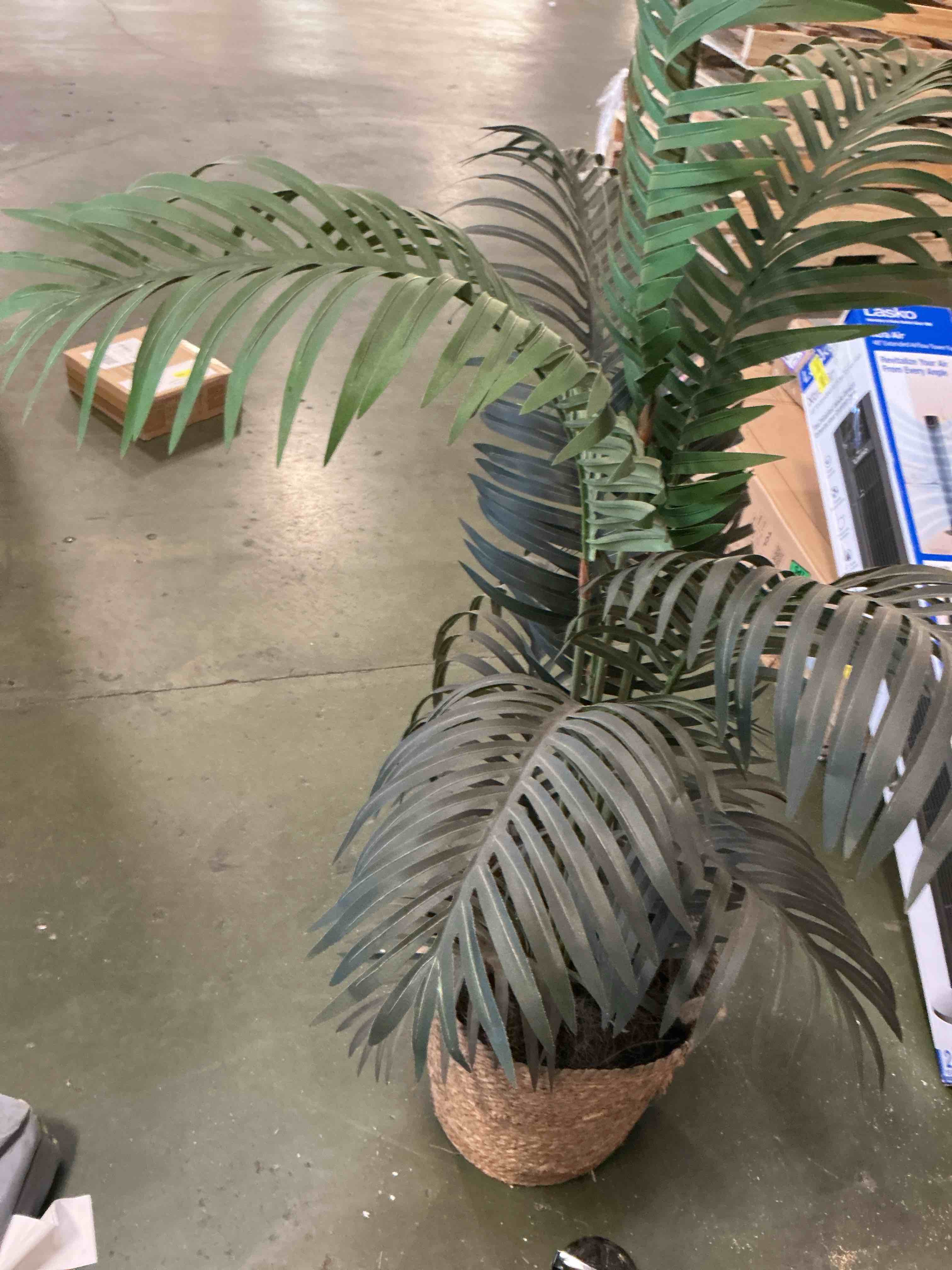 https://s3.amazonaws.com/lotting-images-prod/bidfta/TEA3248545_1756122264298.jpeg