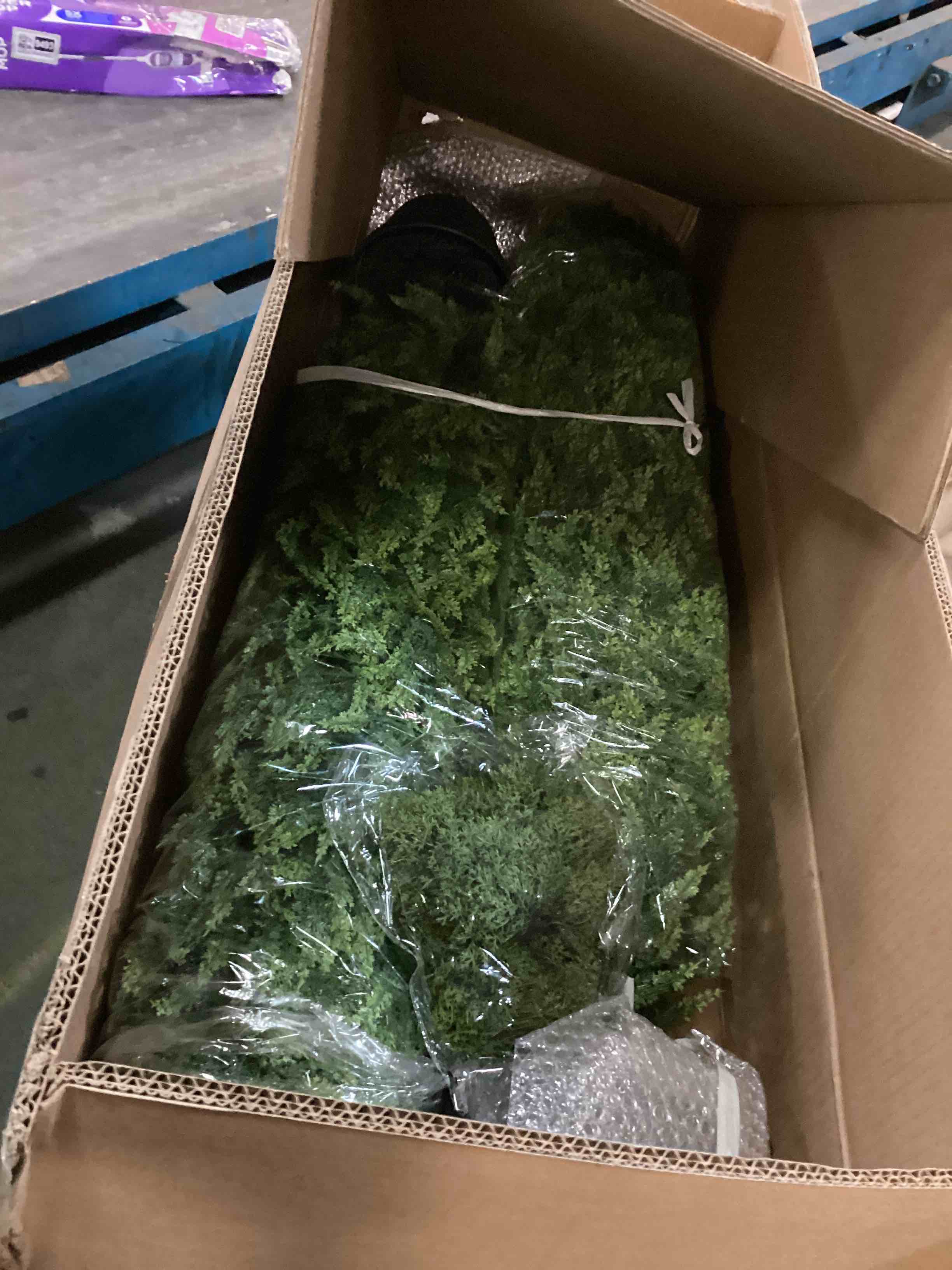 https://s3.amazonaws.com/lotting-images-prod/bidfta/TEA3344583_1747659680138.jpeg