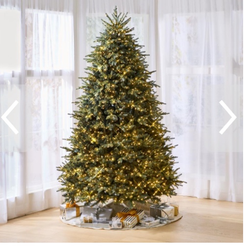 The World's Best Prelit Blue Spruce (12' ft)