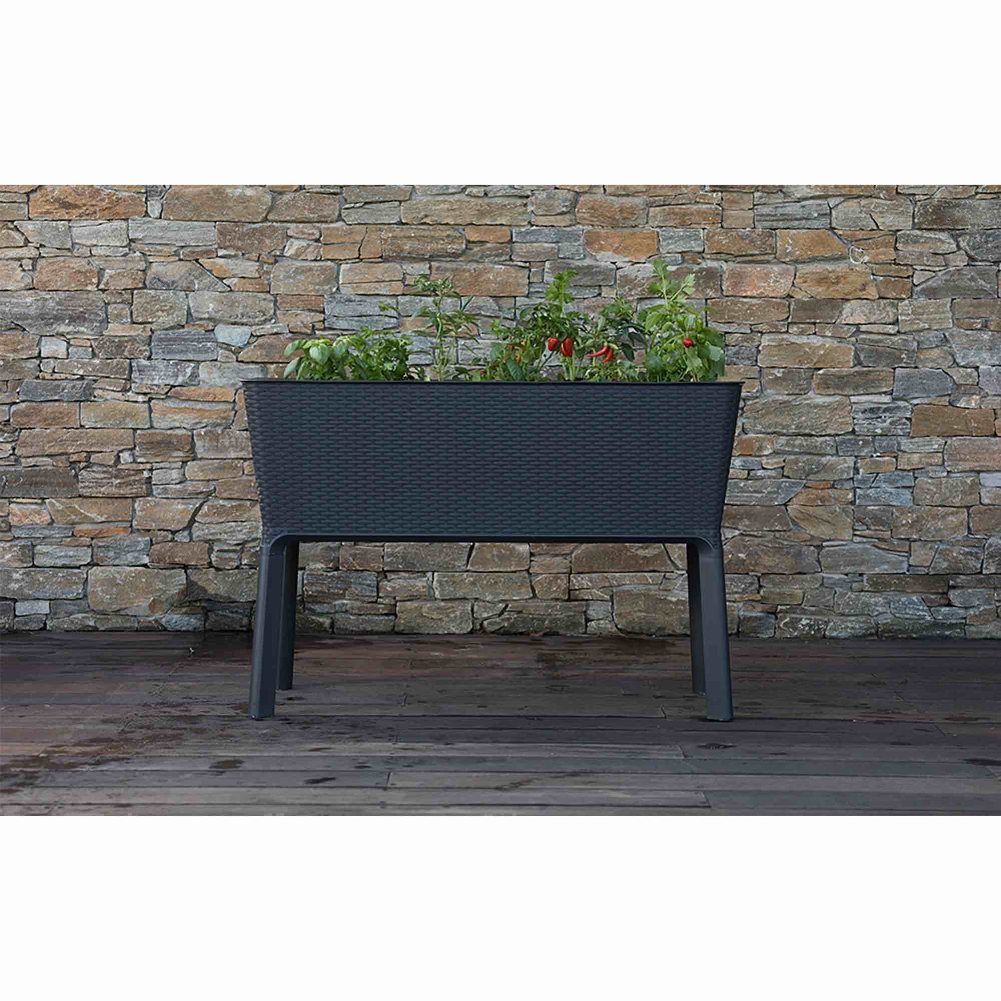 Keter Splendor 31.7 Gallon Raised Garden Bed with Self Watering Planter Box and Drainage Plug-Perfect for Growing Fresh Vegetables, Flowers and Herbs