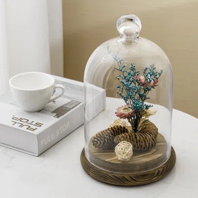 August Grove® Small Decorative Glass Cloche