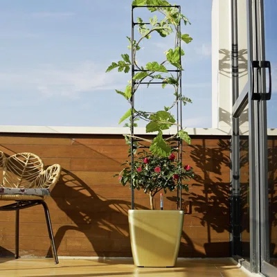 Self Watering Tomato Planter With Trellis, Large Flower Pot With Water Level Monitor