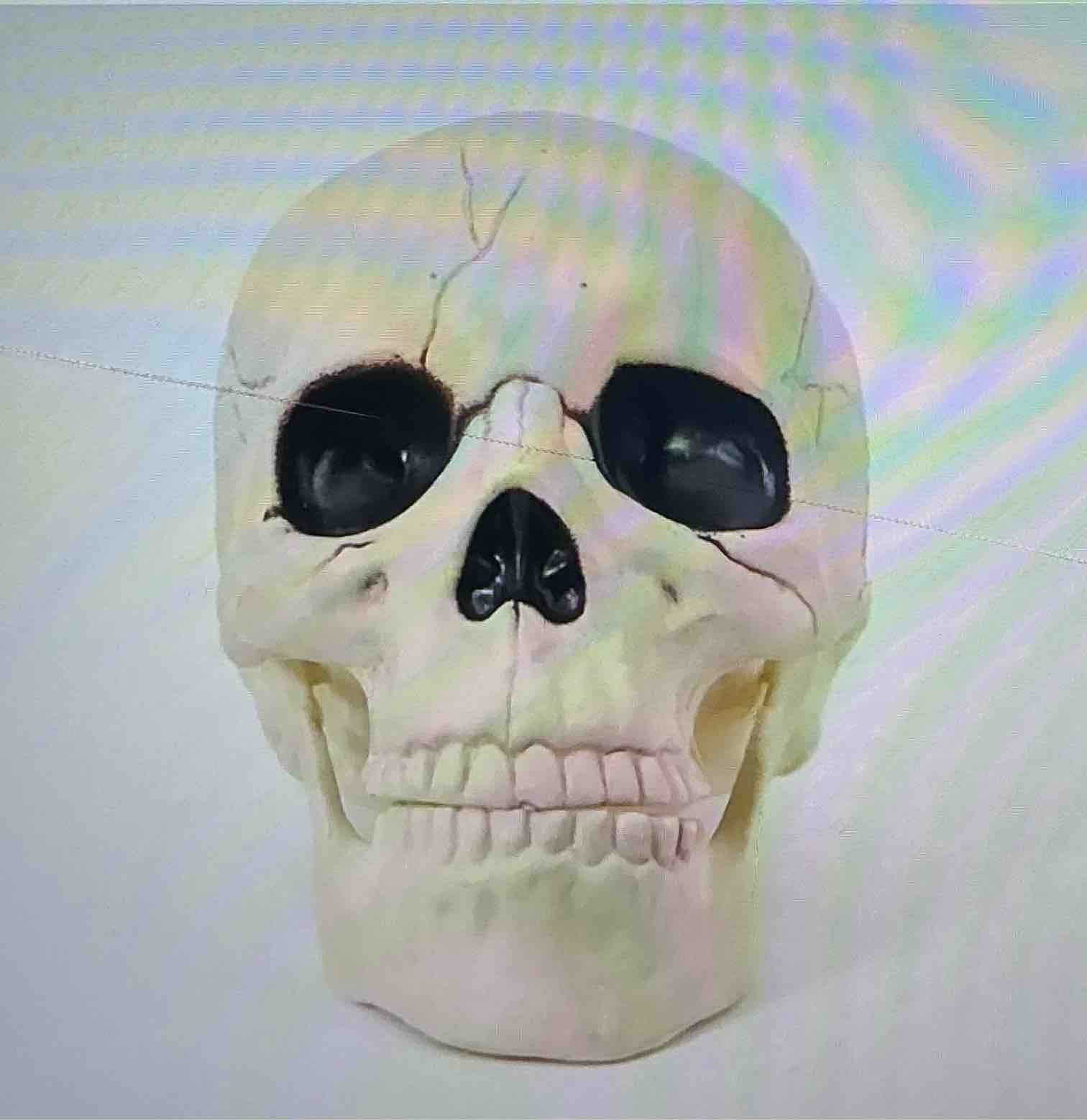 (2 pieces) Seasons 6-inch medium skull skeleton, Halloween decor, crazy bone skeleton line