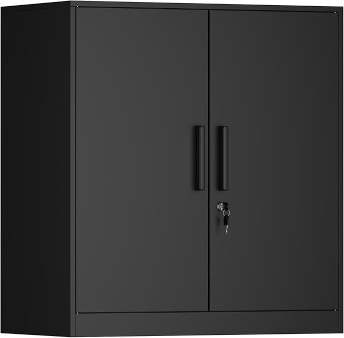 Metal Wall Cabinet,Black Wall Cabinet with 2 Doors,Hanging Cabinets with Handle,Locking Cabinet with Shelves for Garage,Living Home