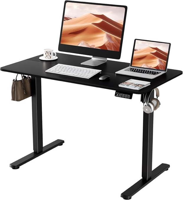 Ergomaker Electric Standing Desk black 