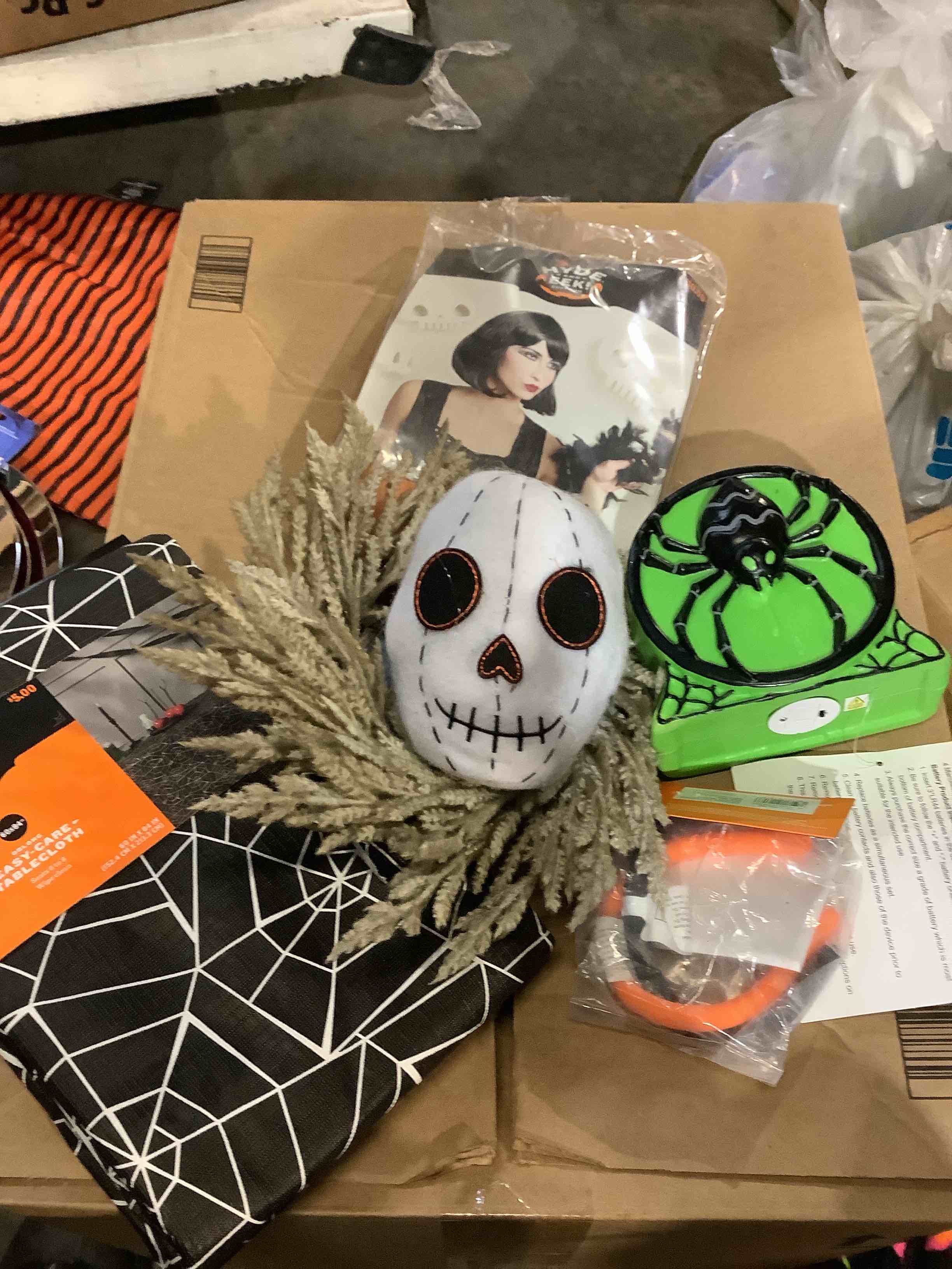 Assortment of Halloween decorations and costume