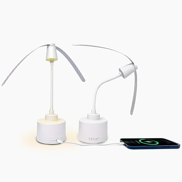 Fly fan with light and portable charging station