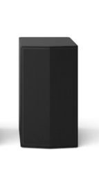 LG active rear speaker, with remote