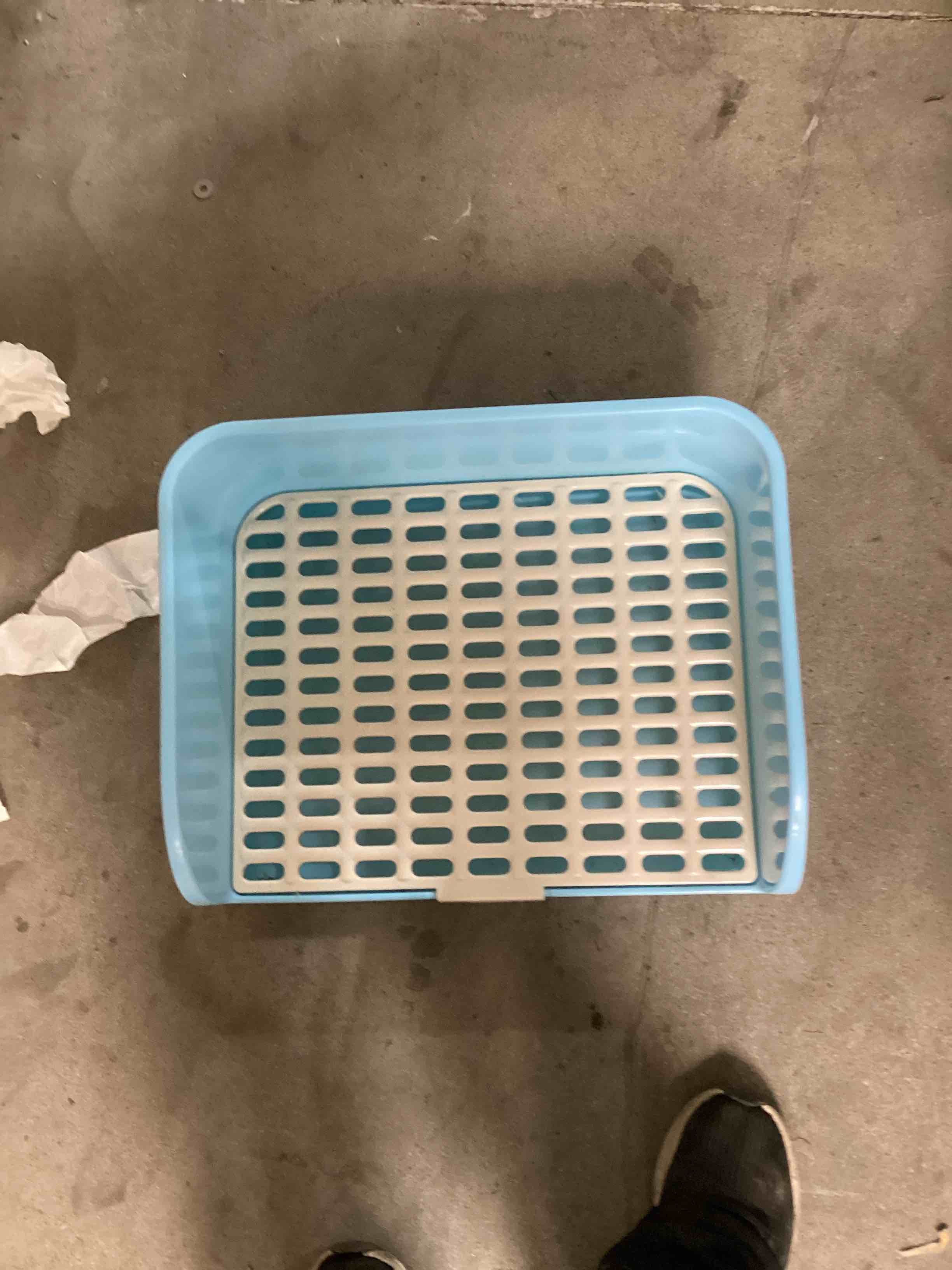 cat litter box blue