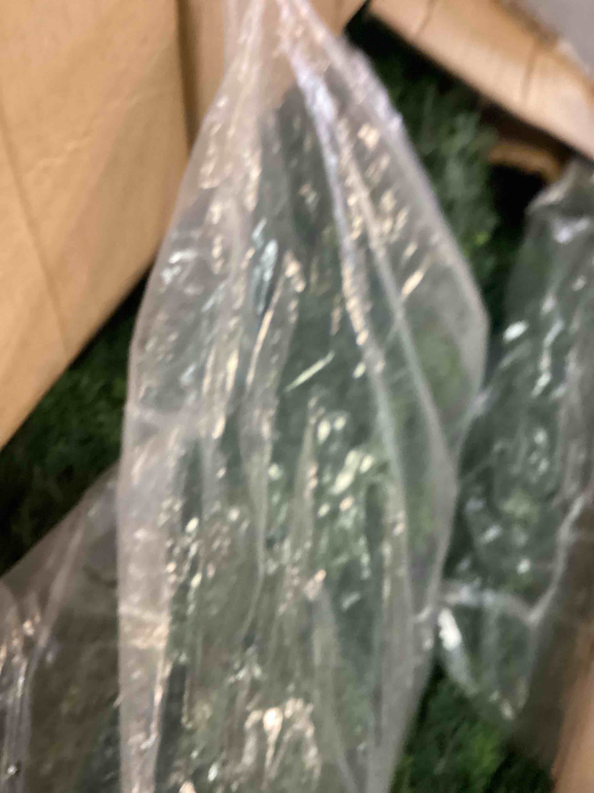 https://s3.amazonaws.com/lotting-images-prod/bidfta/TEA3501240_1751029403159.jpeg