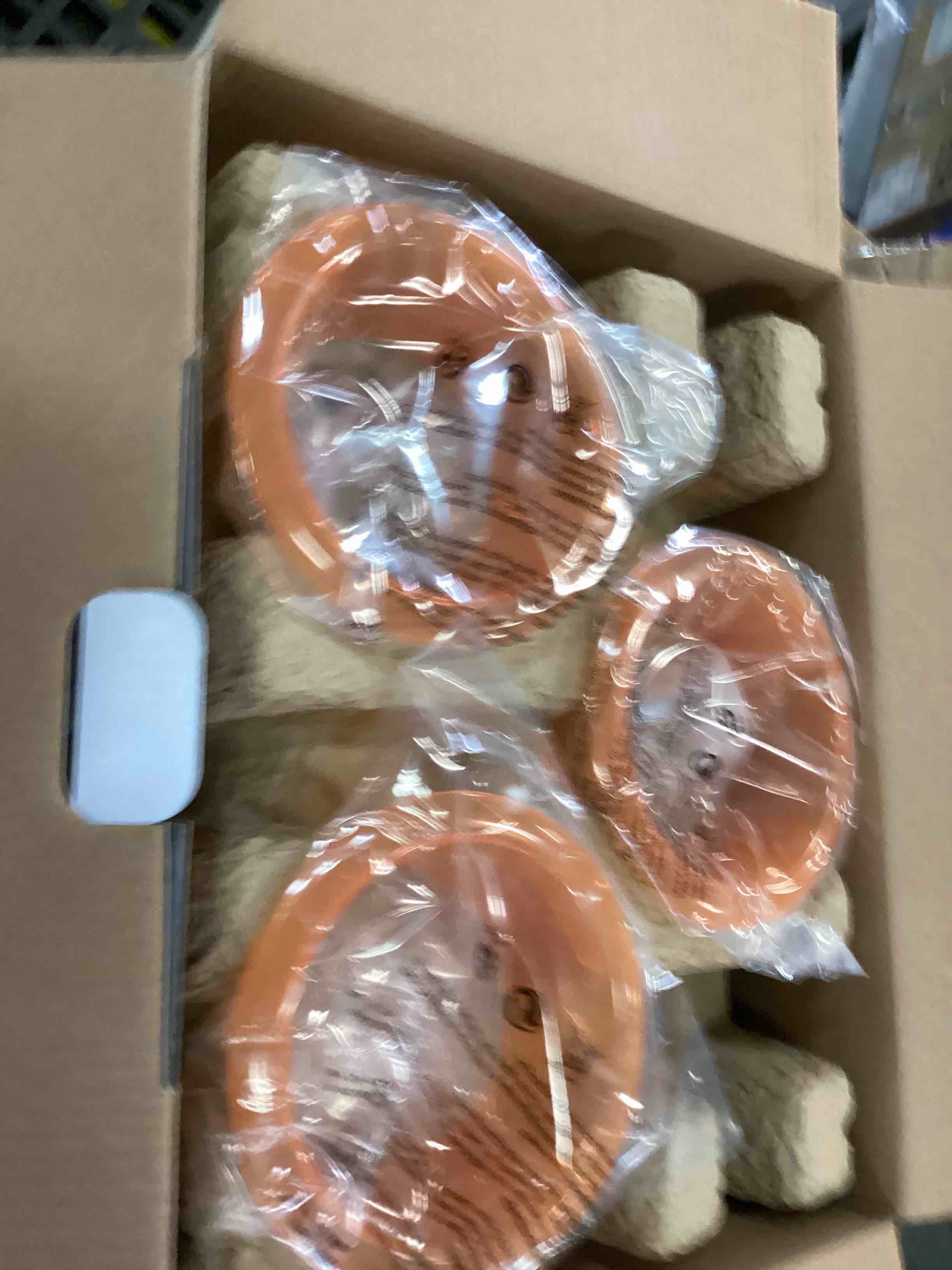 https://s3.amazonaws.com/lotting-images-prod/bidfta/TEA3501525_1751050665111.jpeg