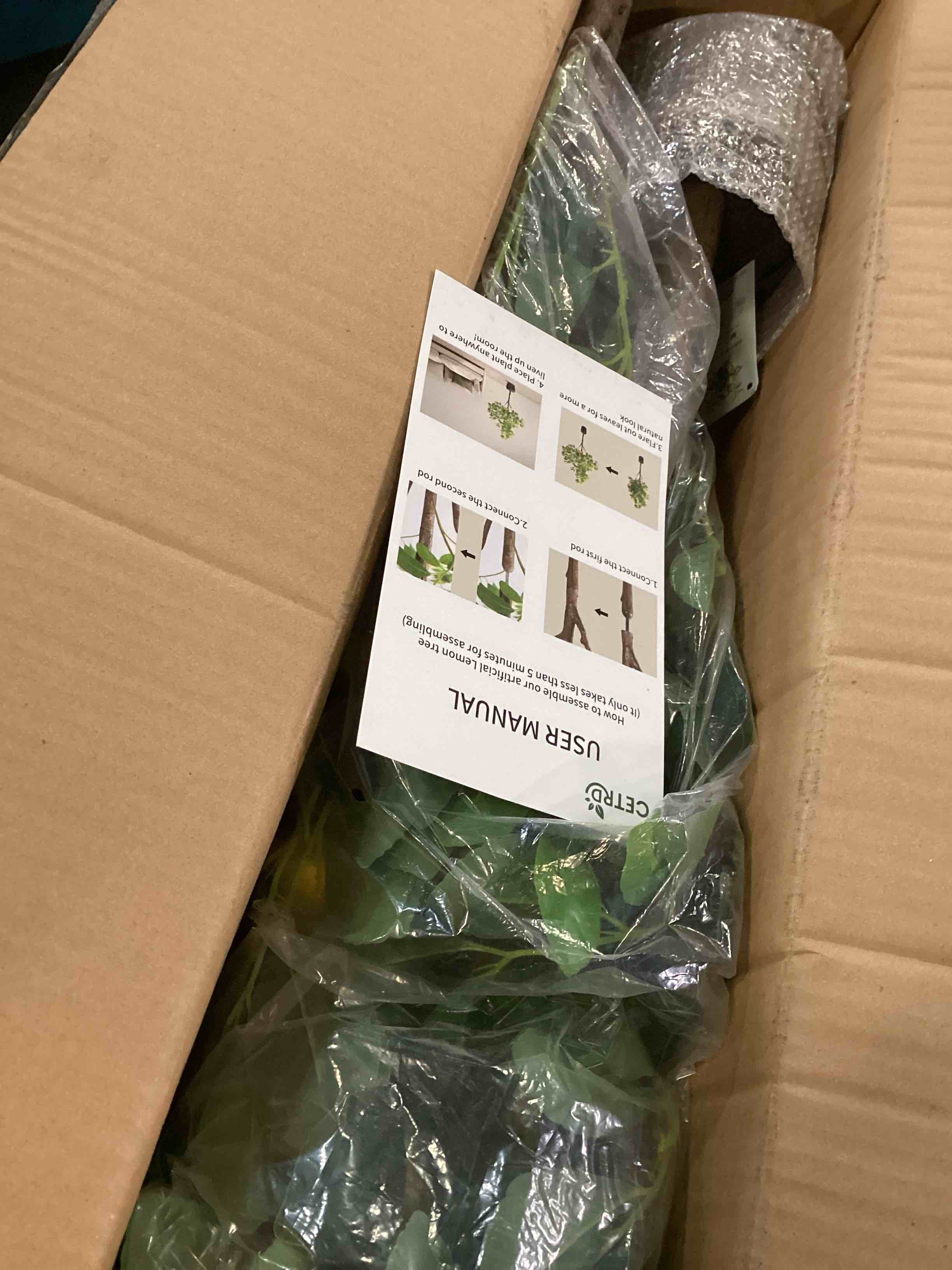 https://s3.amazonaws.com/lotting-images-prod/bidfta/TEA3554229_1750512401102.jpeg