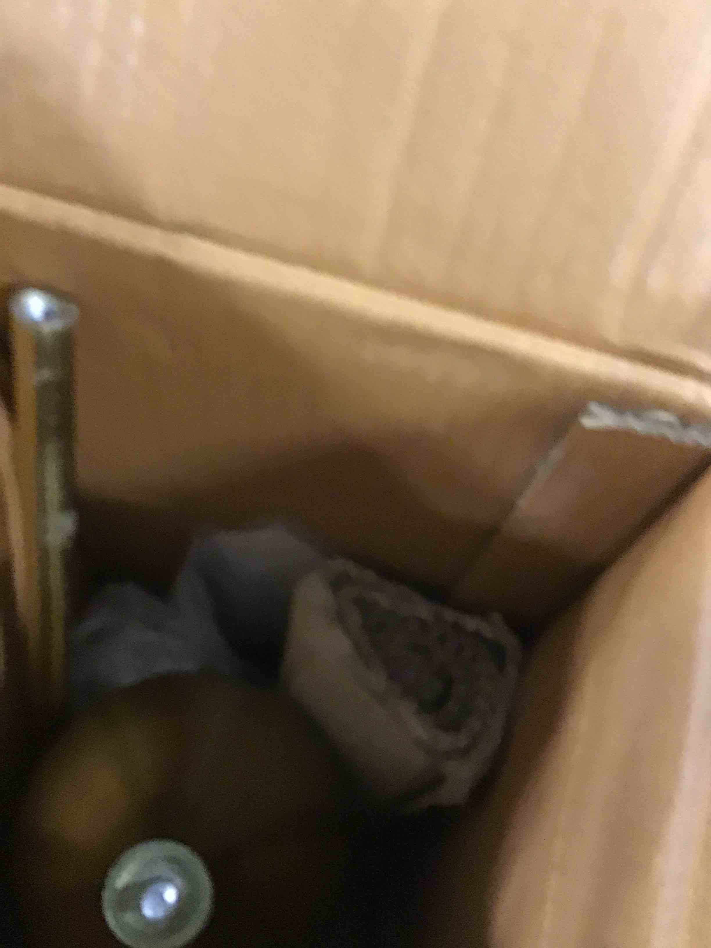 https://s3.amazonaws.com/lotting-images-prod/bidfta/TEA3583050_1745939842493.jpeg