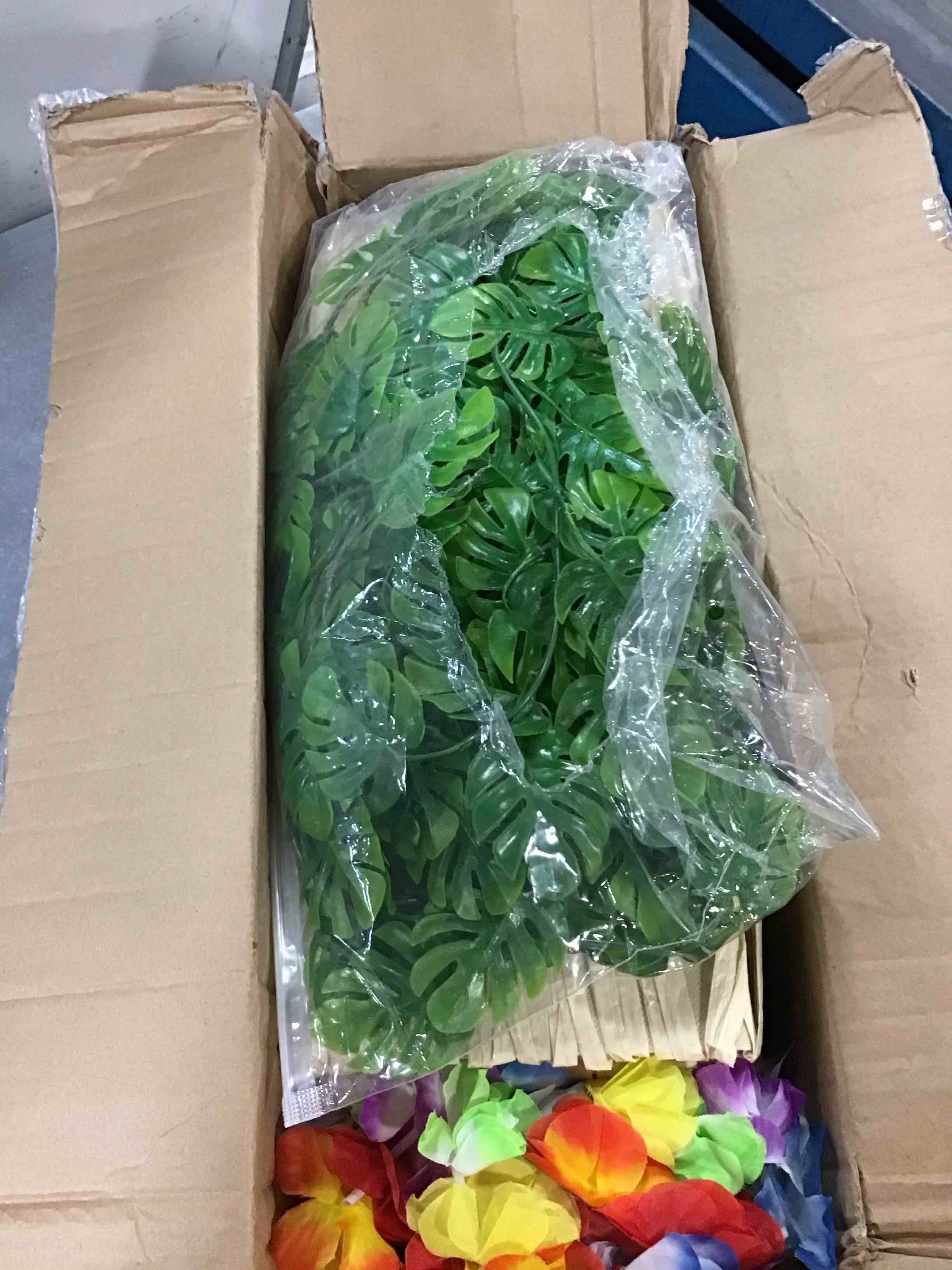 https://s3.amazonaws.com/lotting-images-prod/bidfta/TEA3610338_1750339134746.jpeg