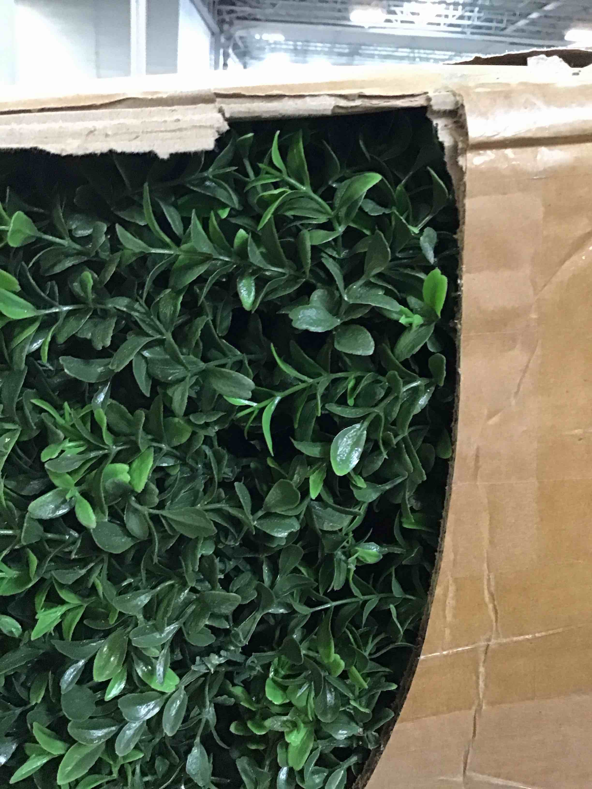 https://s3.amazonaws.com/lotting-images-prod/bidfta/TEA3613741_1750513462442.jpeg