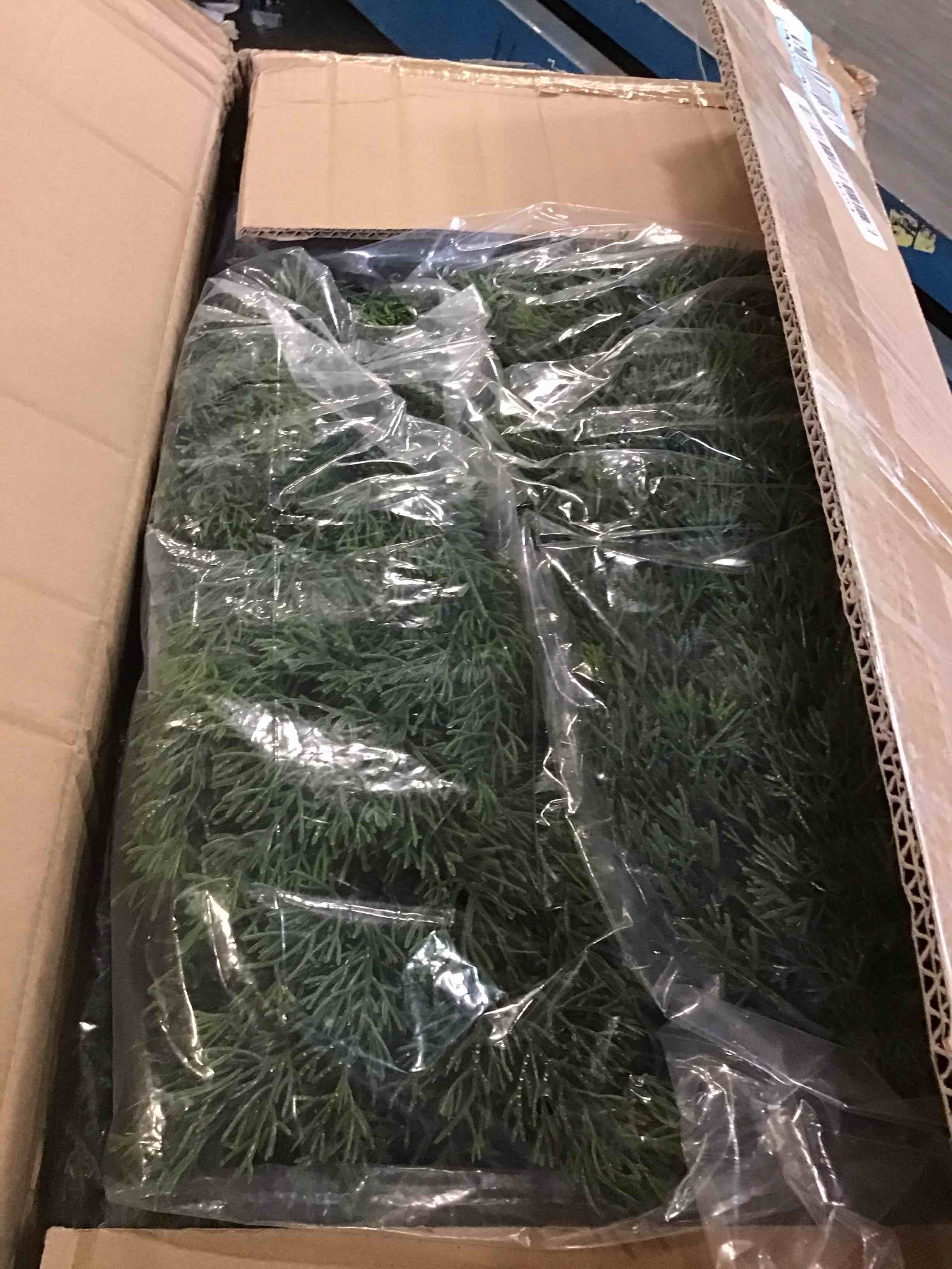 https://s3.amazonaws.com/lotting-images-prod/bidfta/TEA3613810_1750522942956.jpeg