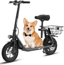 electric scooter with seat zd06, 800w peak motor, 20 mile range & 15.5 mph, key start, foldable e-scooter