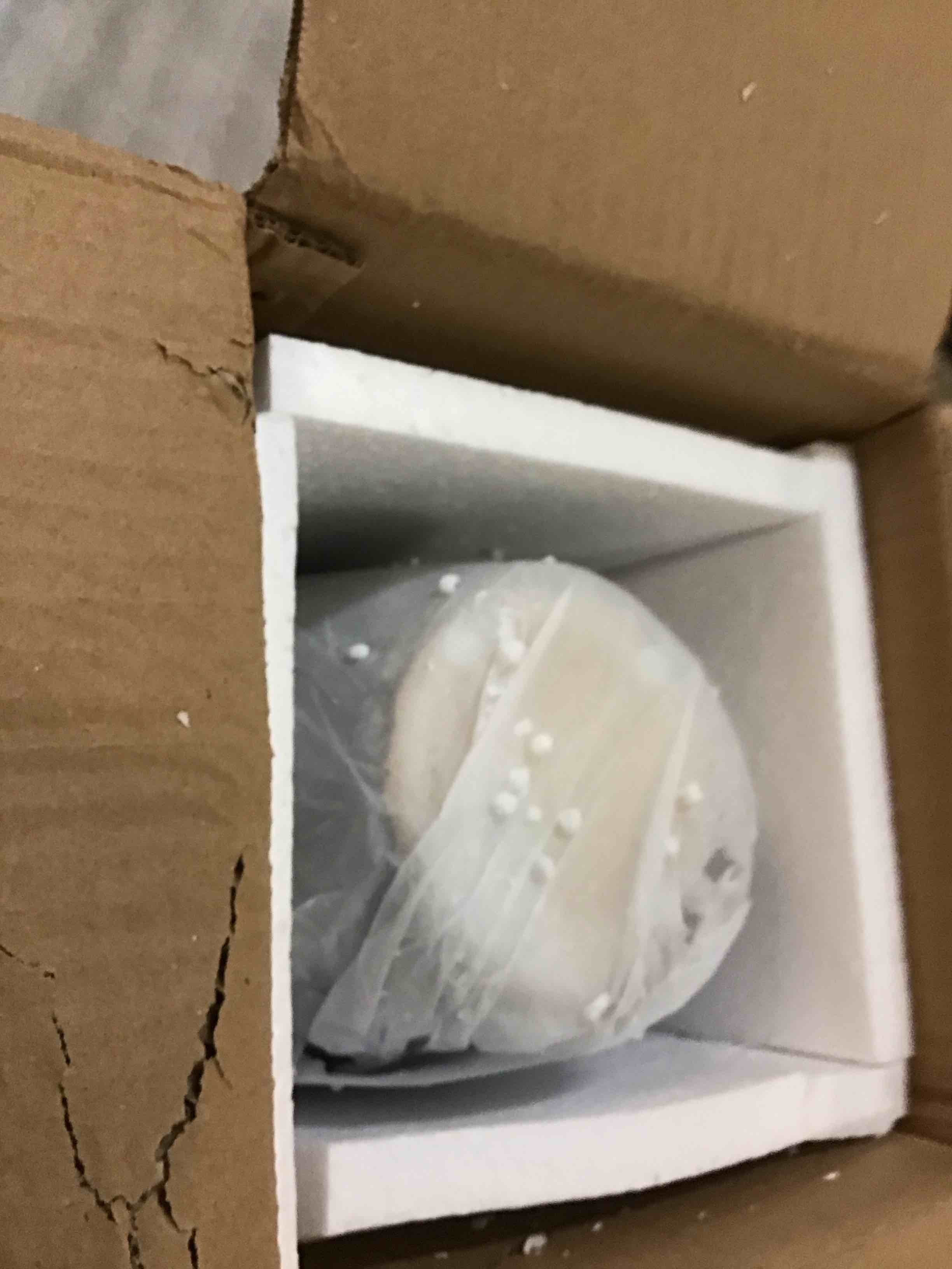 https://s3.amazonaws.com/lotting-images-prod/bidfta/TEA3671435_1746619224885.jpeg