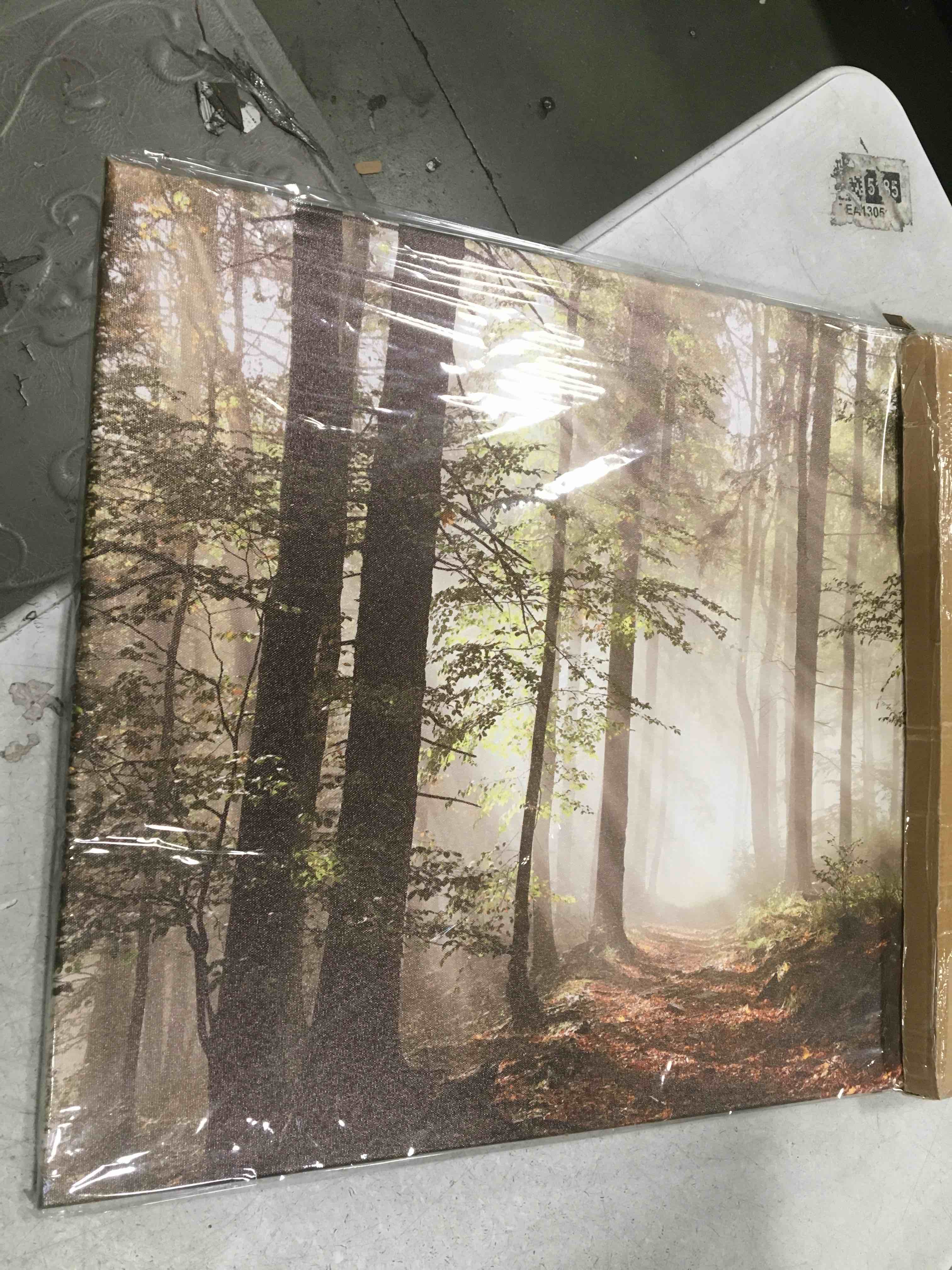https://s3.amazonaws.com/lotting-images-prod/bidfta/TEA3675571_1747747395180.jpeg