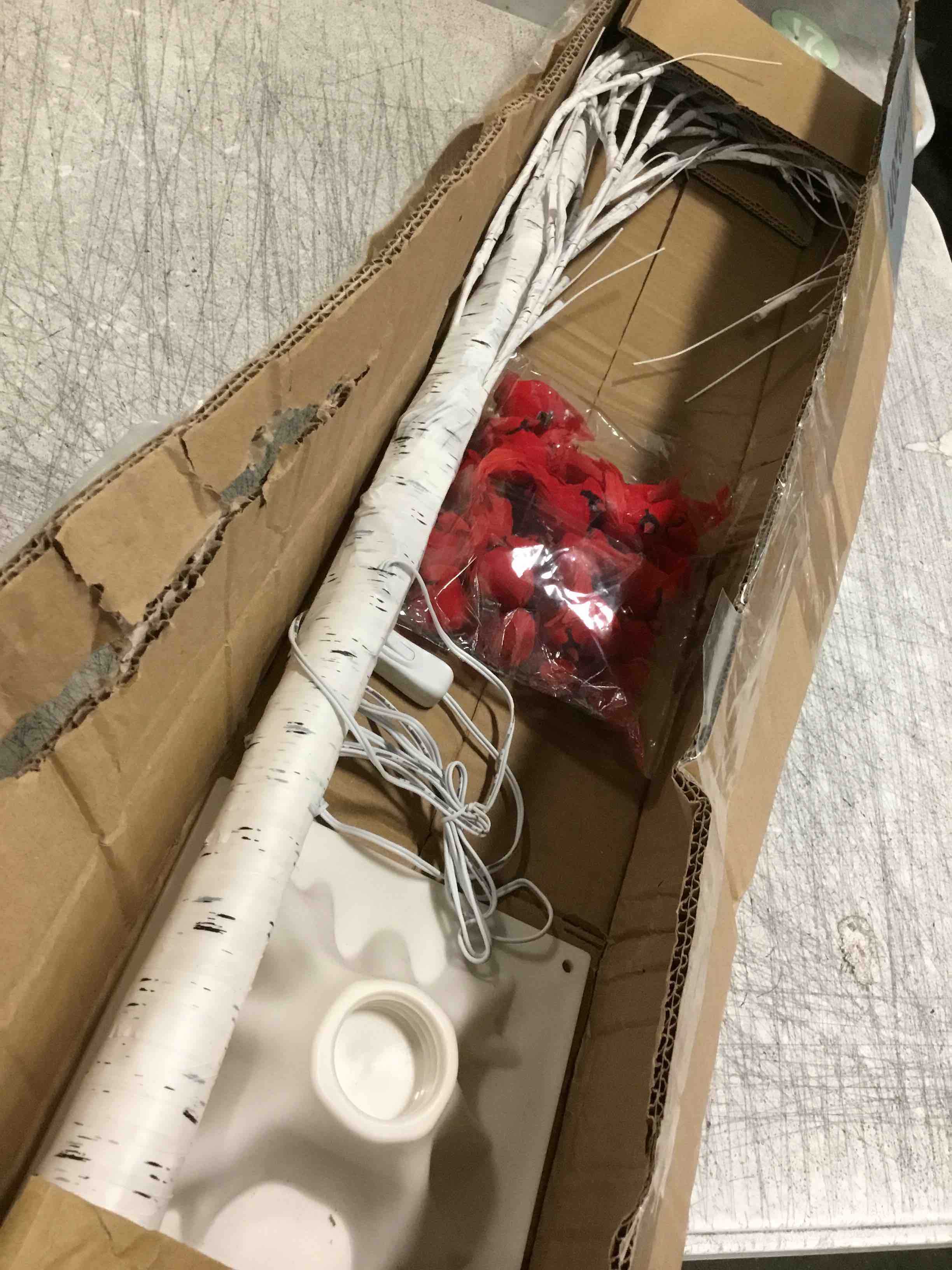 https://s3.amazonaws.com/lotting-images-prod/bidfta/TEA3678791_1747330525740.jpeg