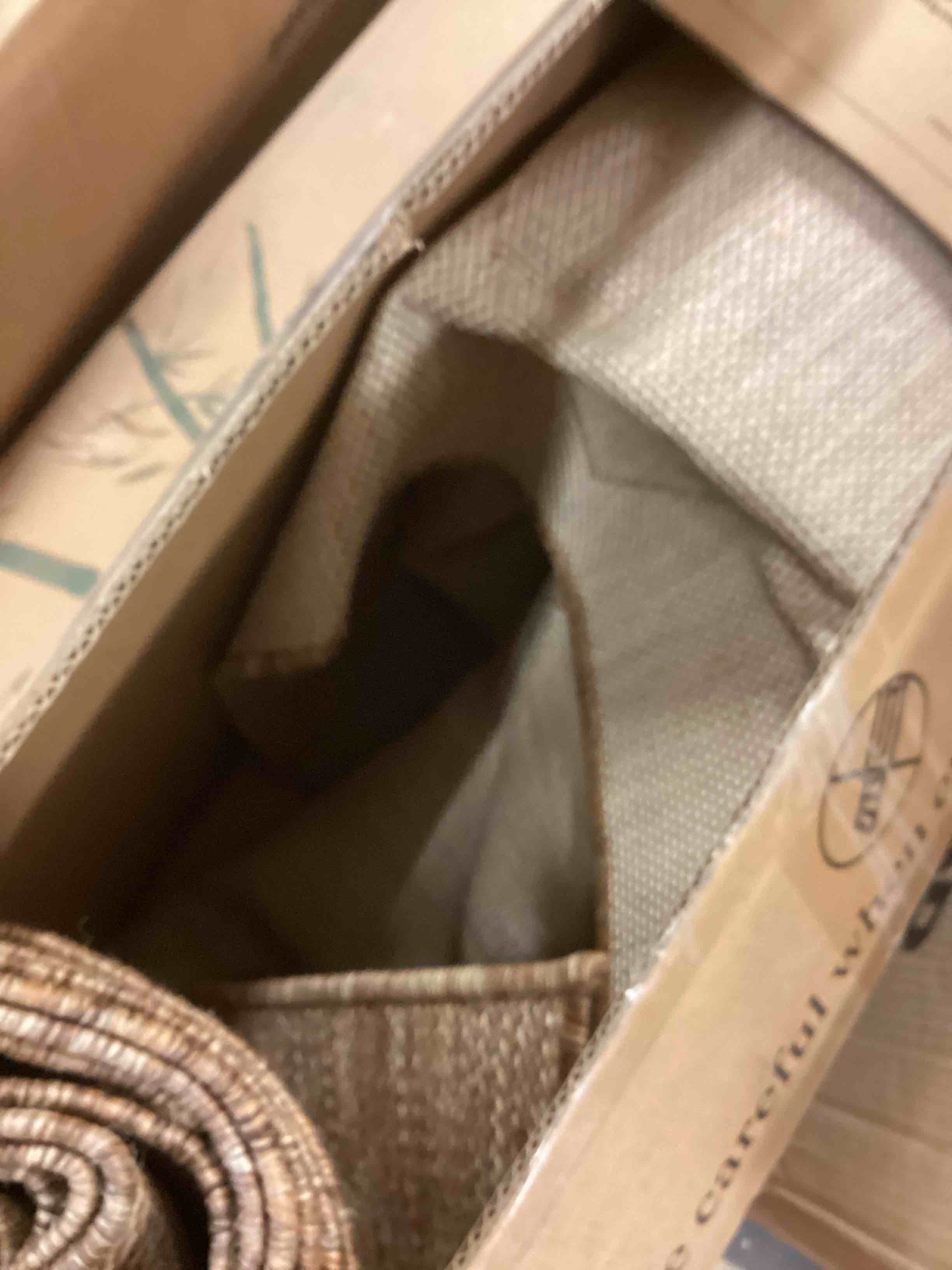 Condition photo showing Good Condition for nuloom outdoor performance collection sabina trellis brown/ivory, 8' x 10', soft and cozy, high traffic, stain resistant, easy clean, durable area rug for indoor/outdoor patio, deck, porch, garden