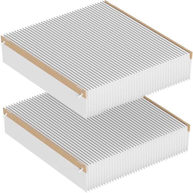 501 Replacement Furnace Filter 2-pack