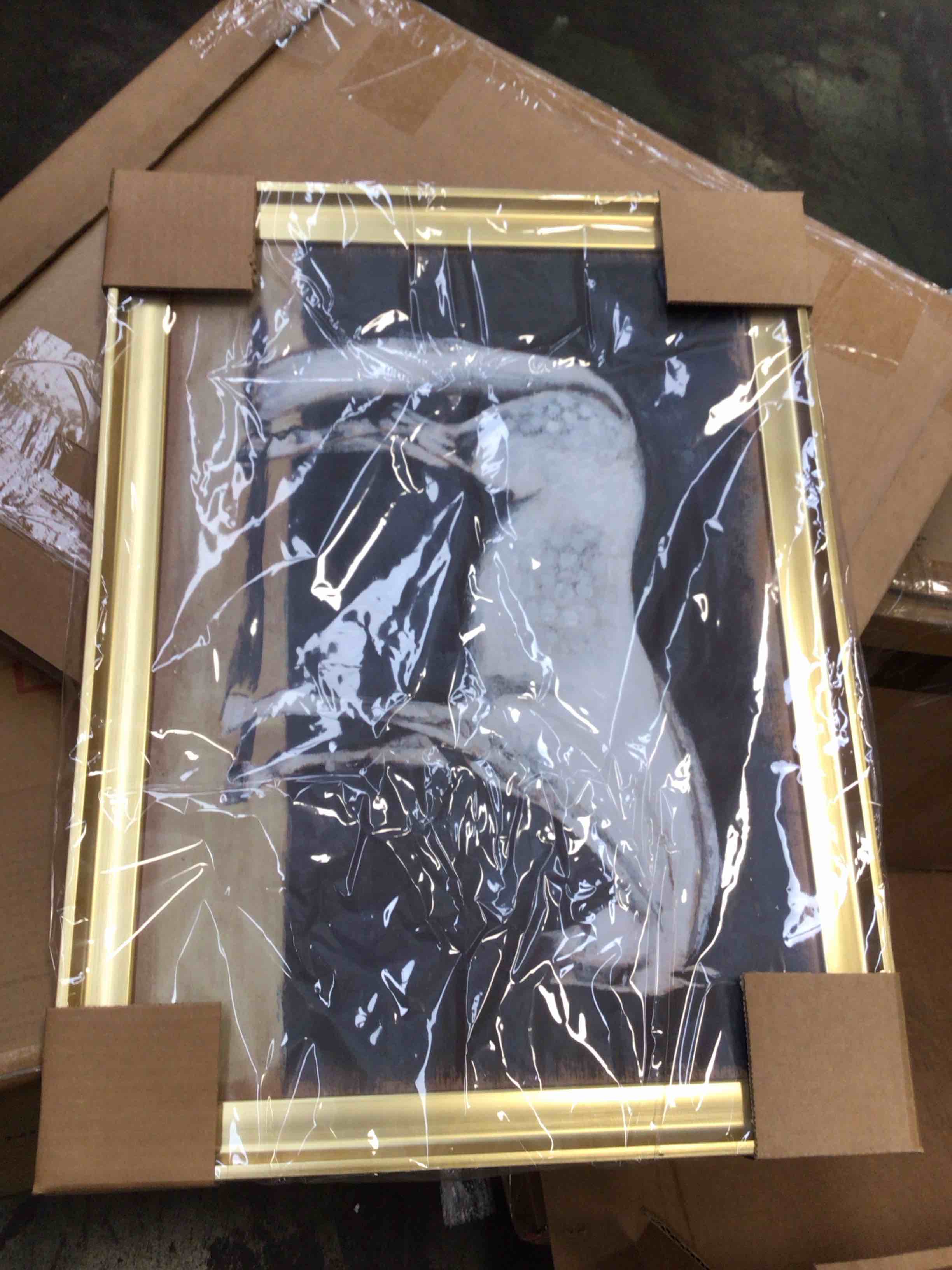 Condition photo showing New/Like New for equestrian studies v 24.5” x 18.5” 