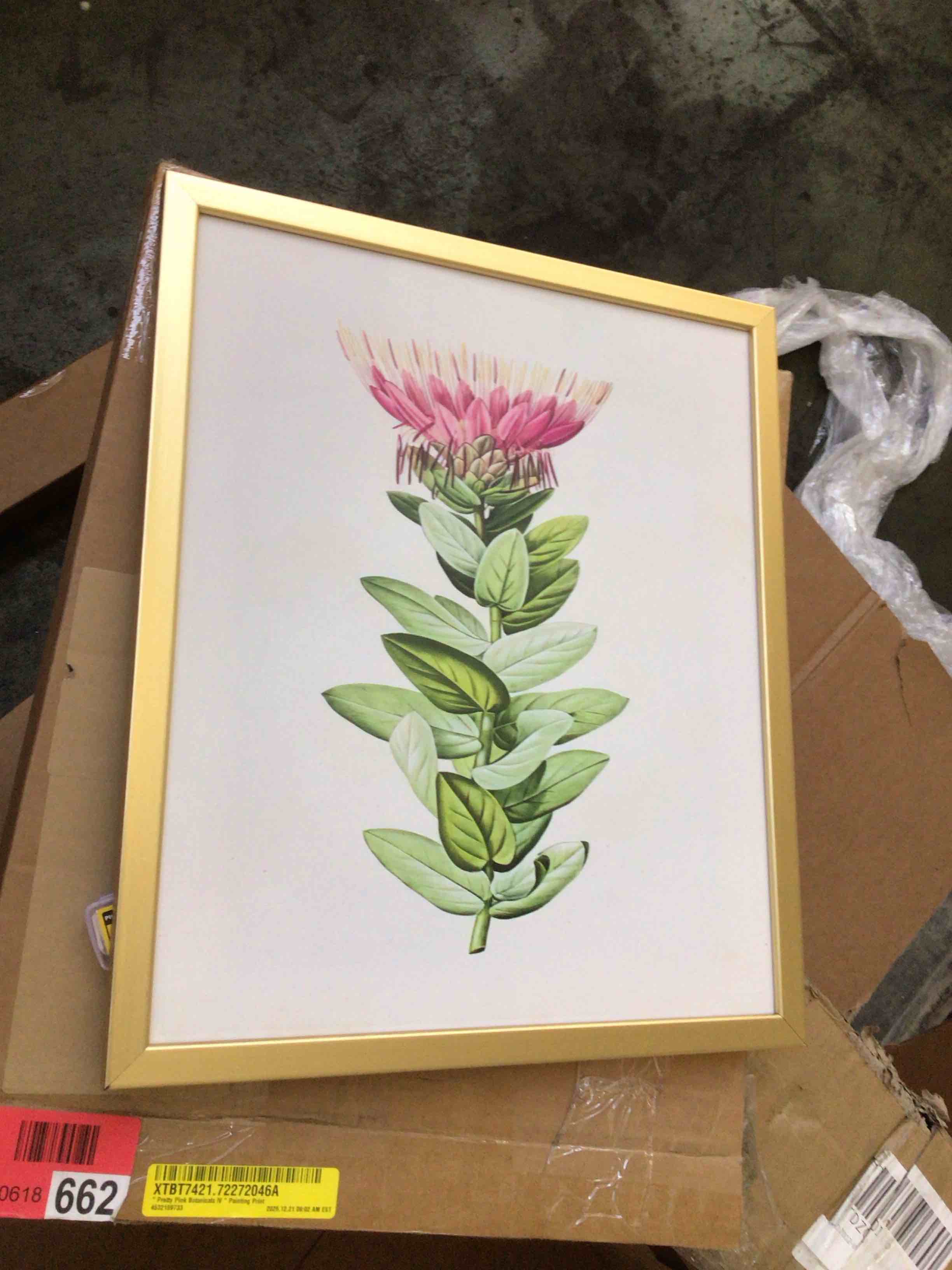 Condition photo showing New/Like New for pretty pink botanical iv painting print 1 pcs  16” x 19”
