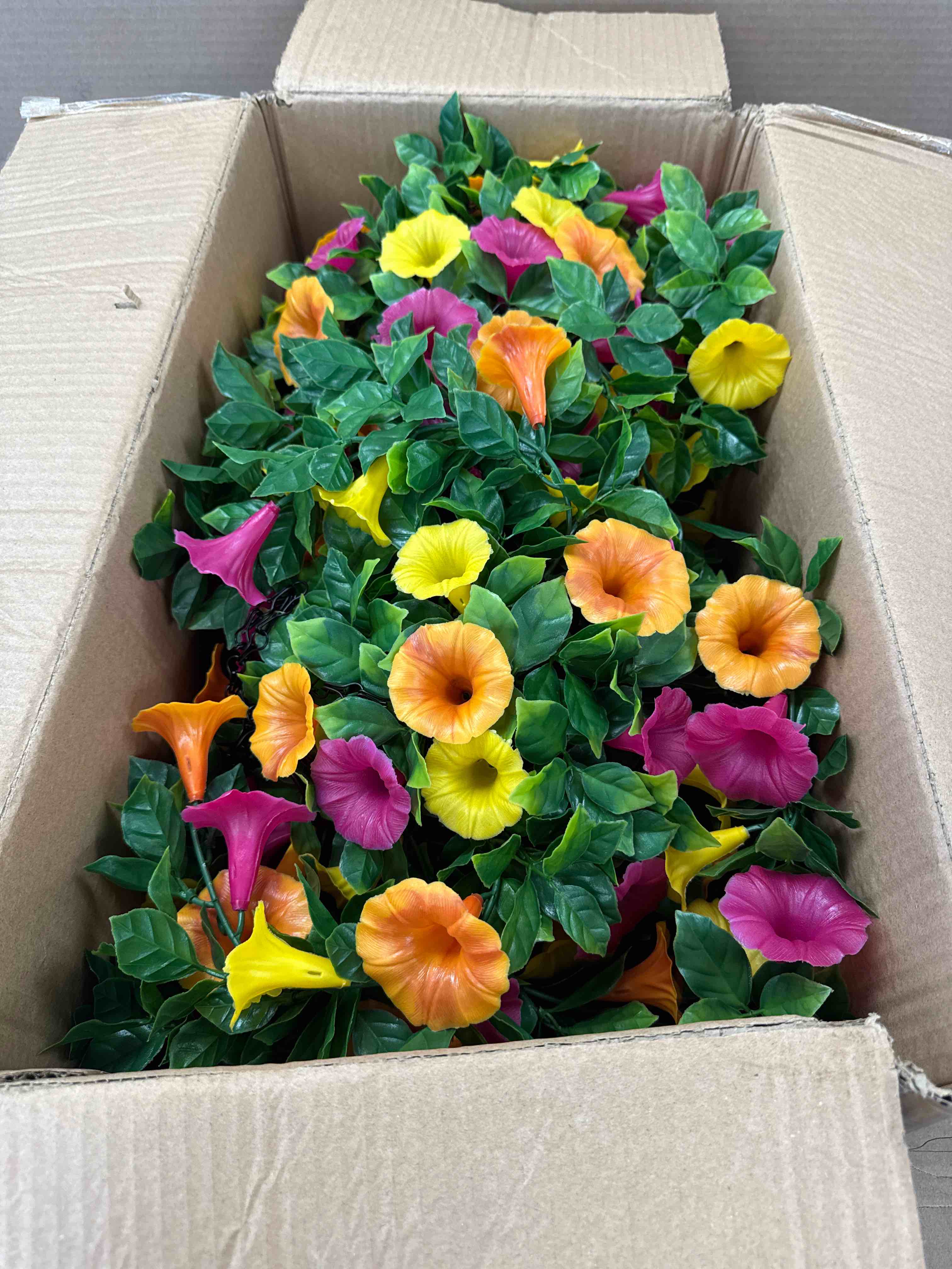 Condition photo showing New/Like New for 2pack petunia hanging basket multi color 