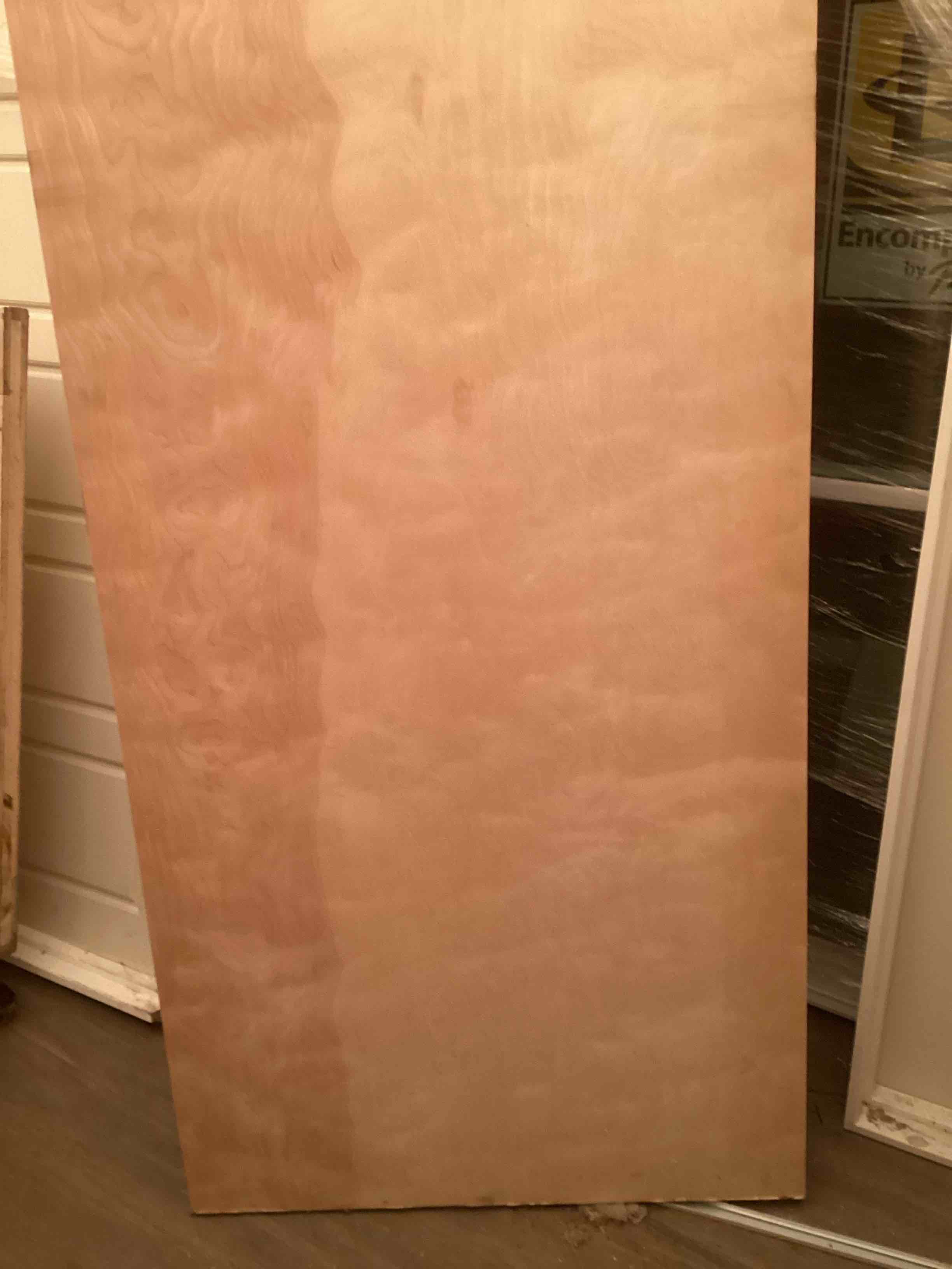 Condition photo showing Good Condition for unfinished door