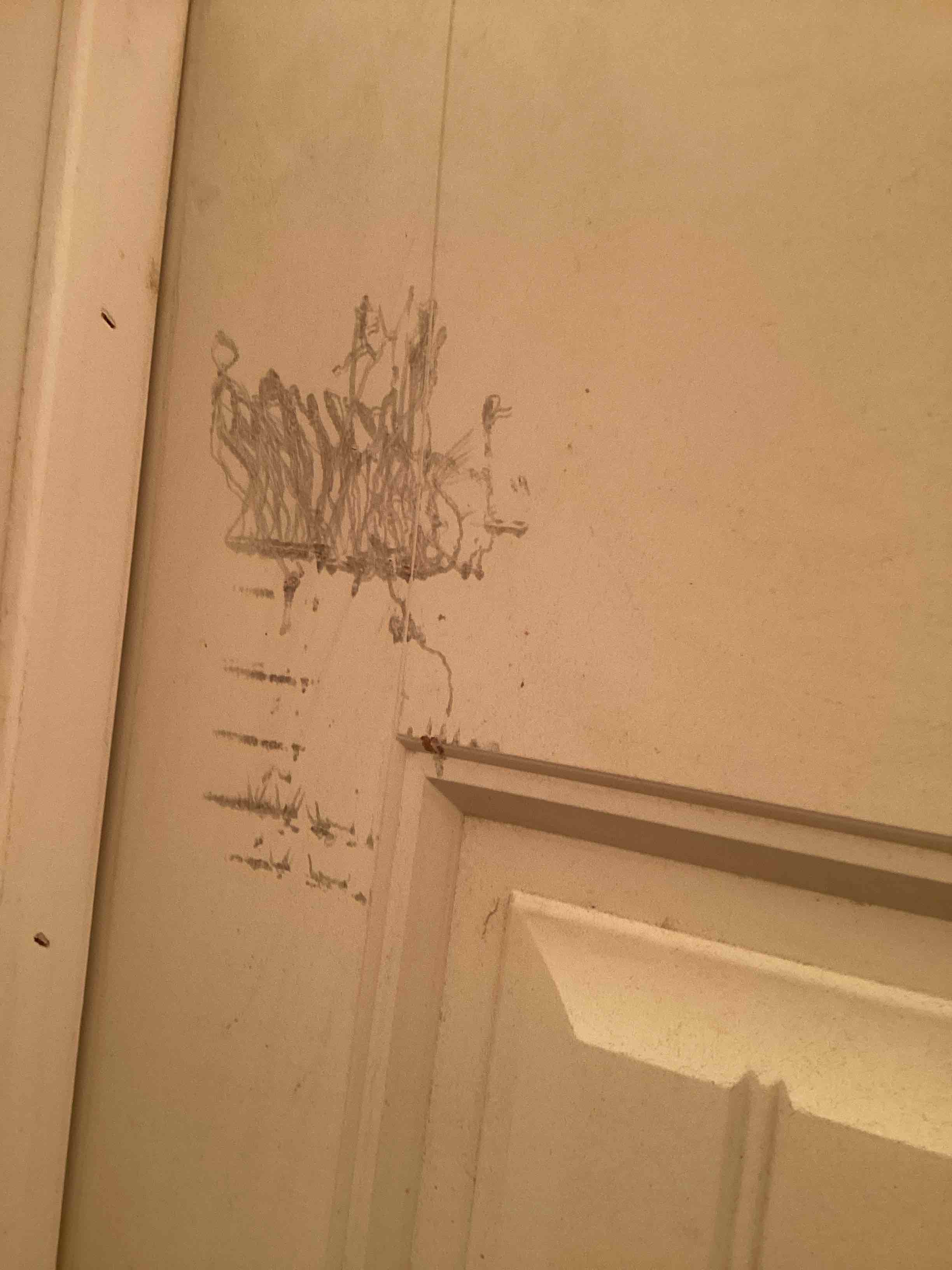 Condition photo showing As Is for interior door