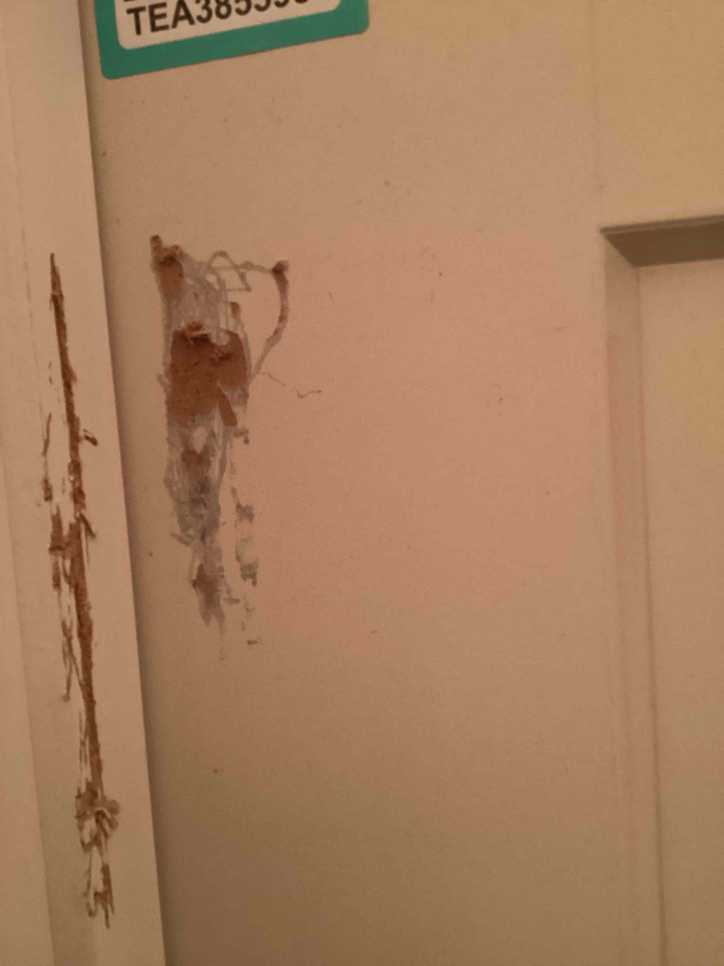 Condition photo showing As Is for interior door