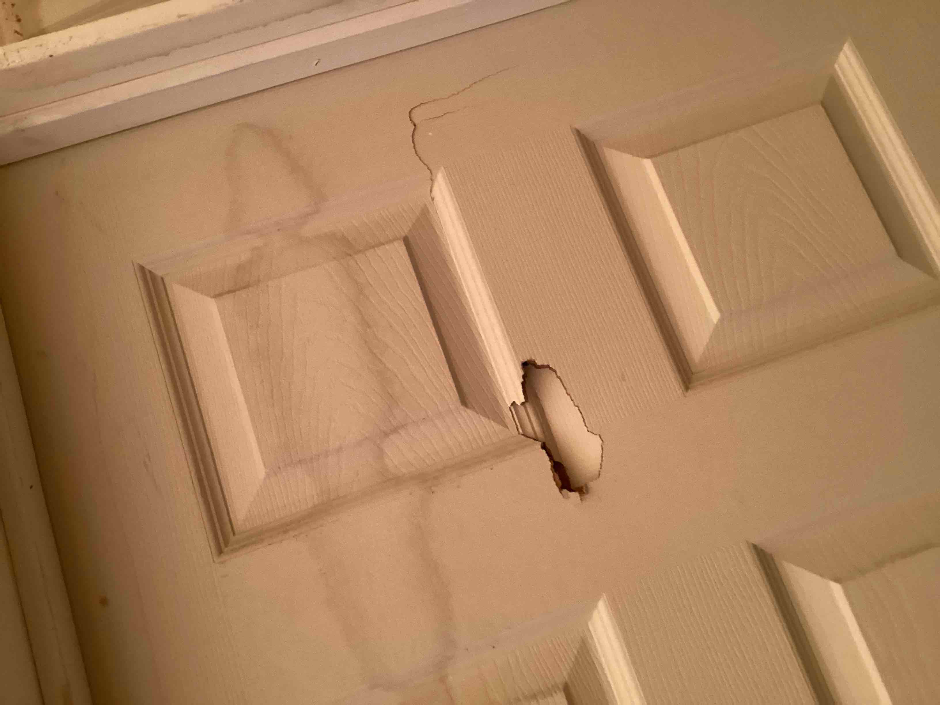 Condition photo showing As Is for double interior door