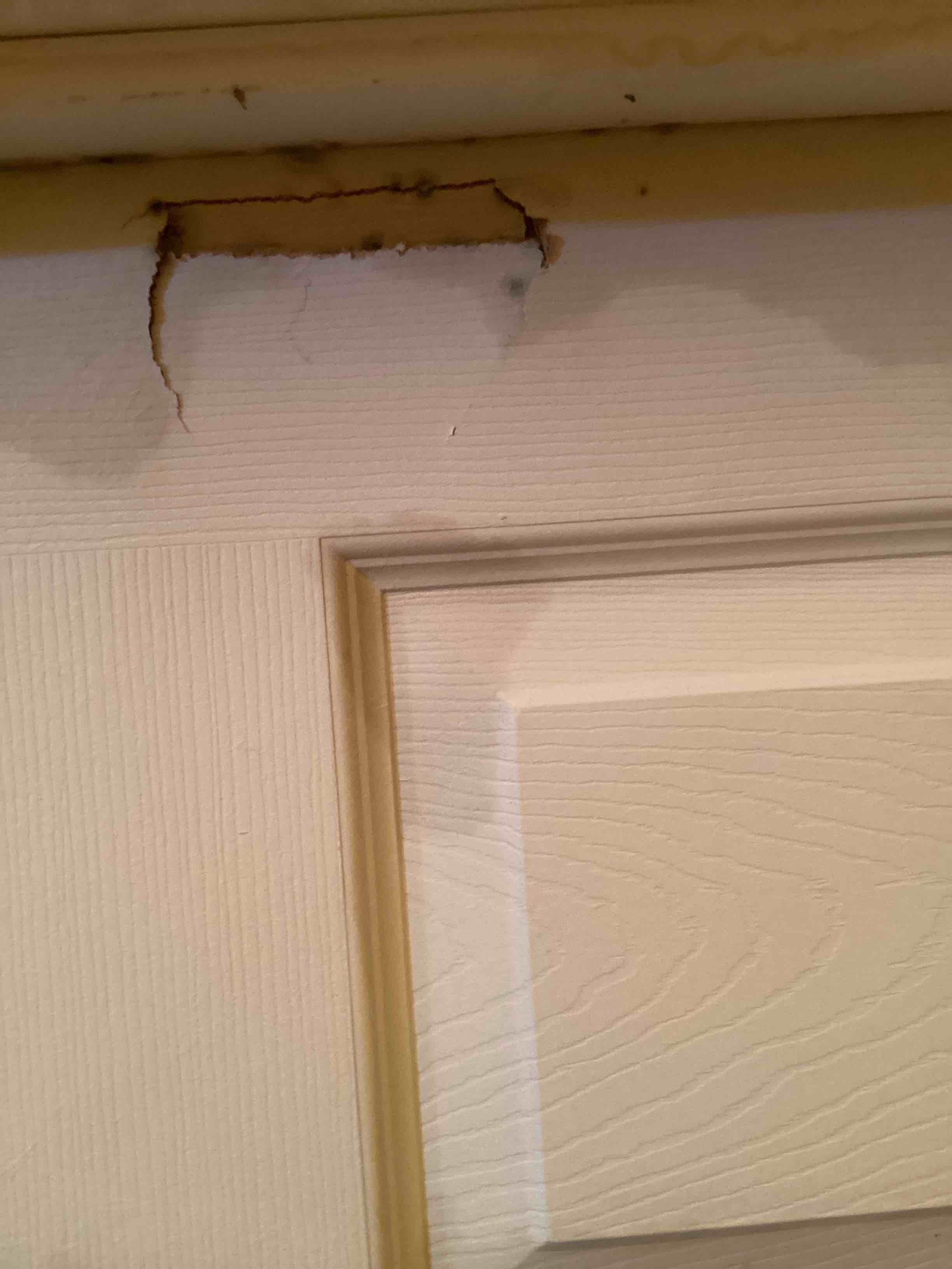 Condition photo showing As Is for double interior door