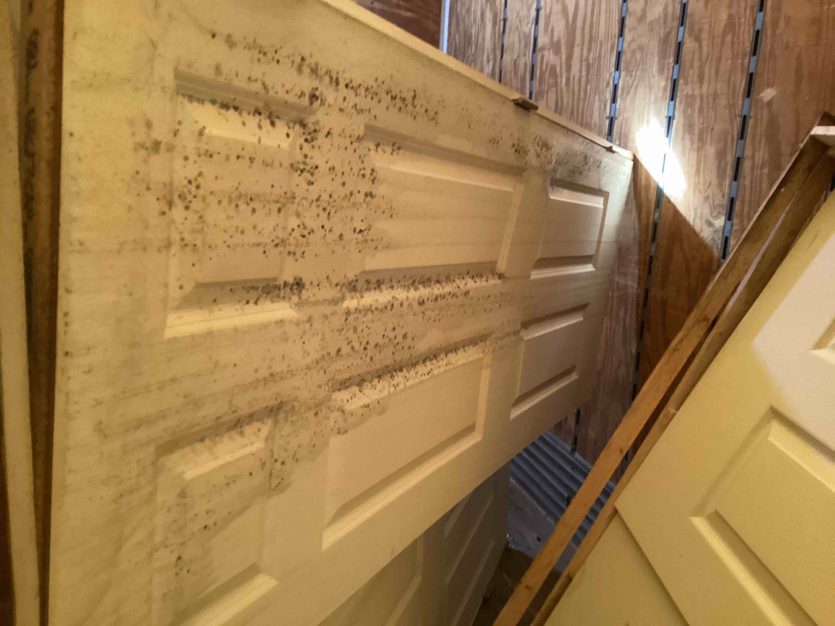 Condition photo showing As Is for double interior door