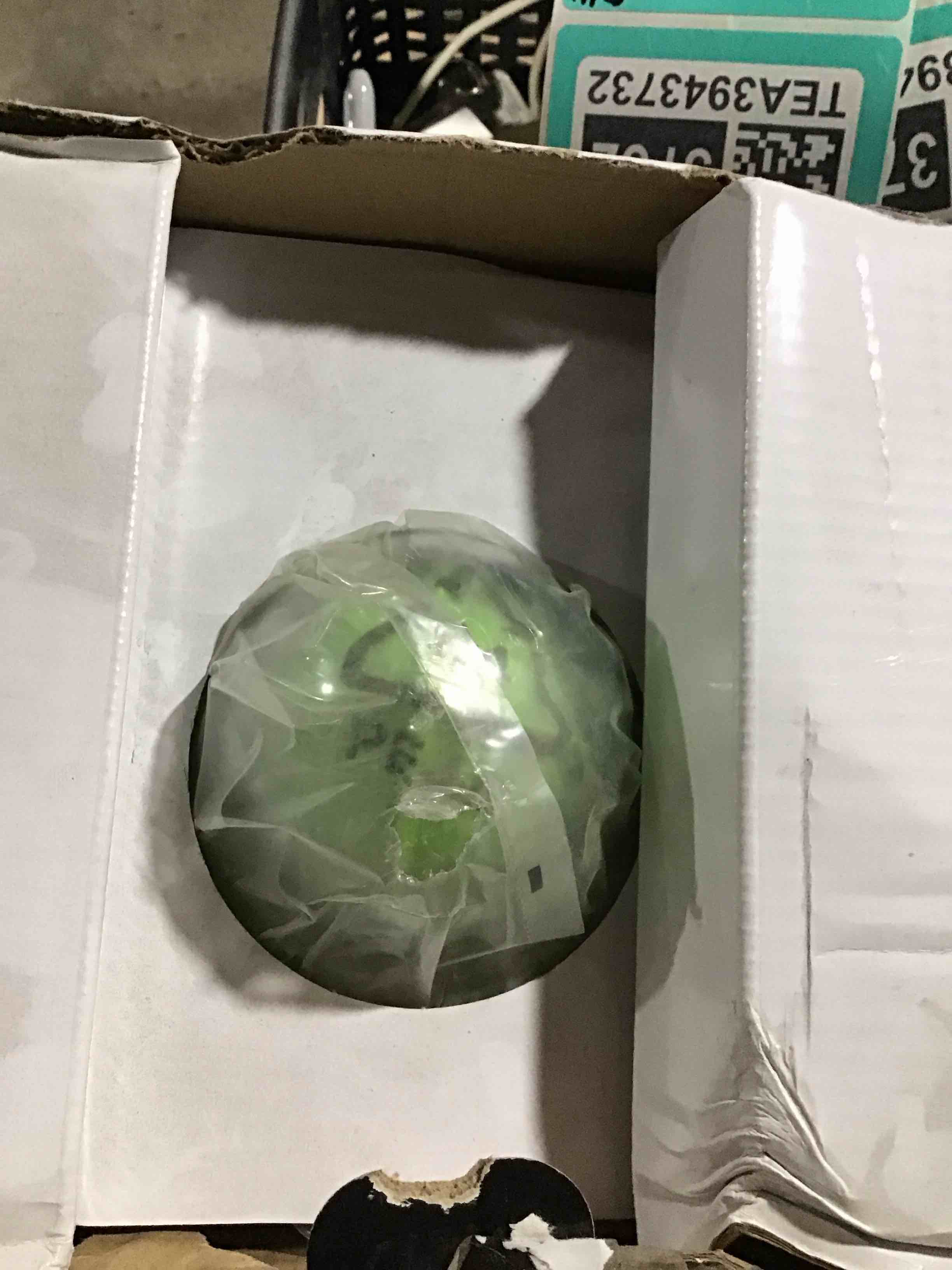 Condition photo showing Good Condition for Proctor Silex Electric Citrus Juicer Machine, Large 34 oz. Pitcher, Pressure Activated, 2 Reamers for Big and Small Fruit, Pulp Control, for Orange, Lemon, Grapefruit Juice, White & Green (66340) White & Green Large 34 oz. Pitcher